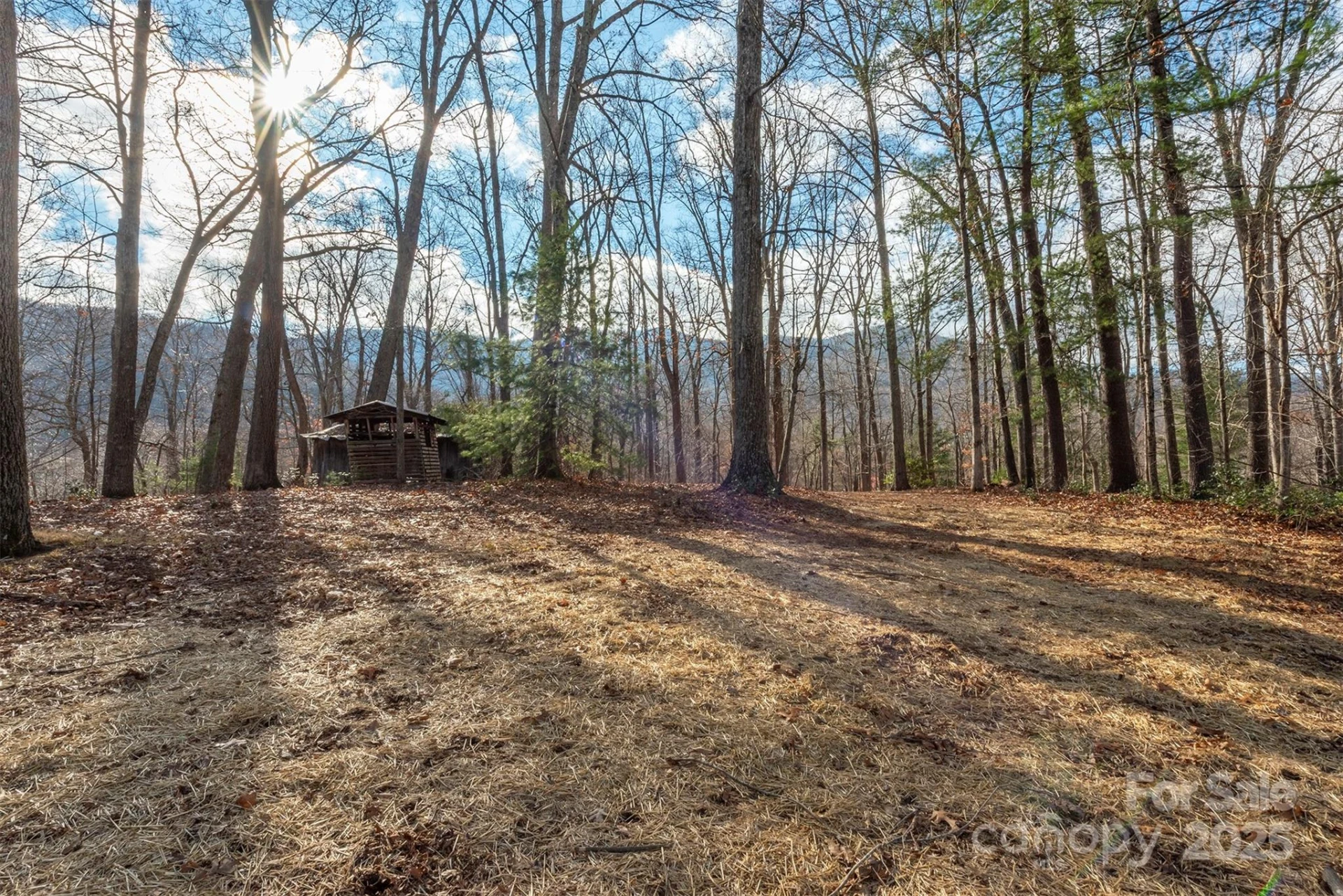 333 Richmond Avenue - Photo 8