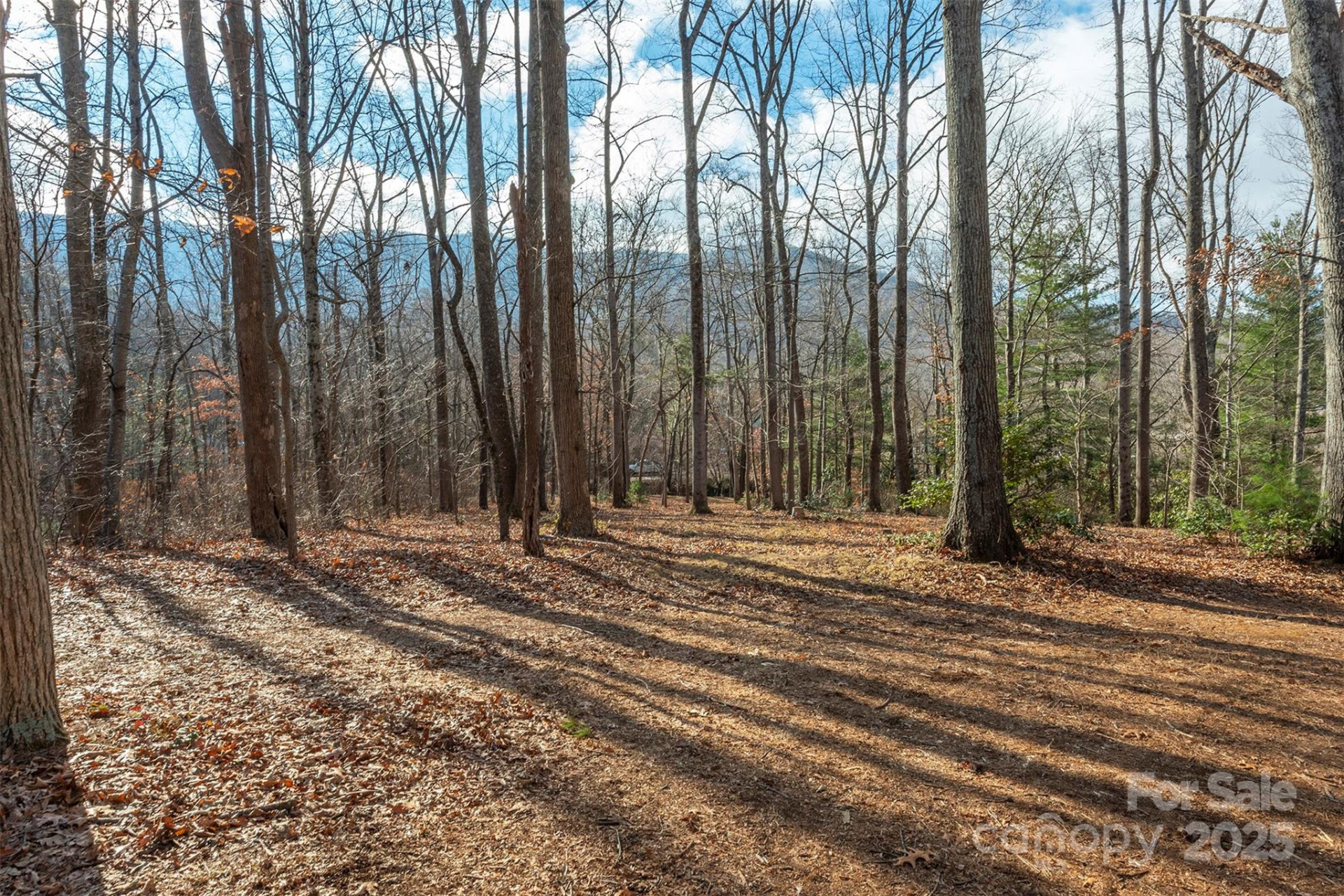 333 Richmond Avenue - Photo 9