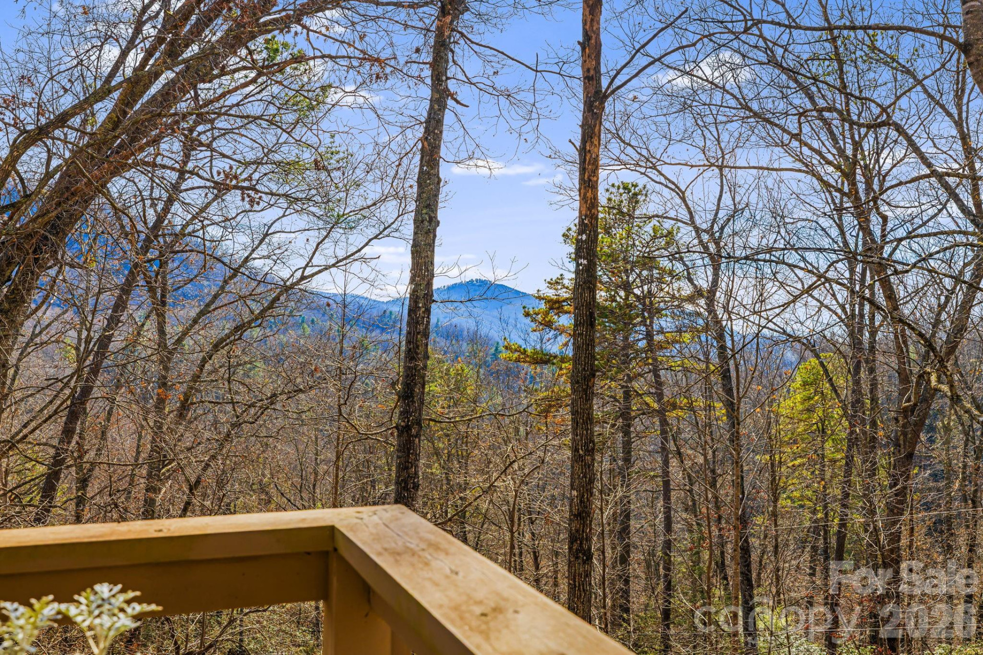 65 Roy Lane - Photo 5