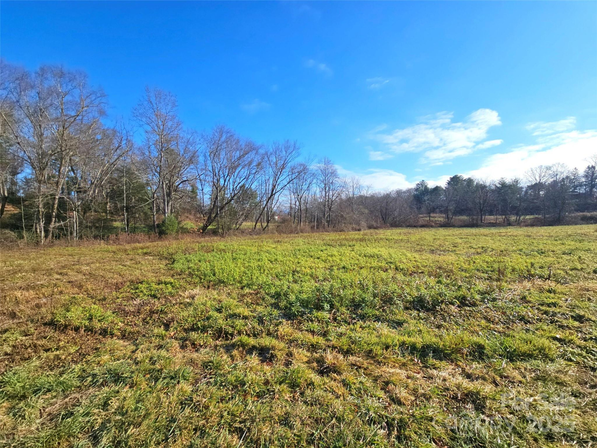 4794 Boylston Highway - Photo 12