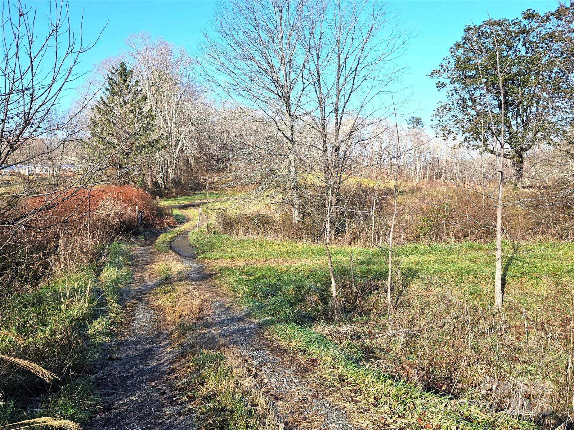 4794 Boylston Highway - Photo 14