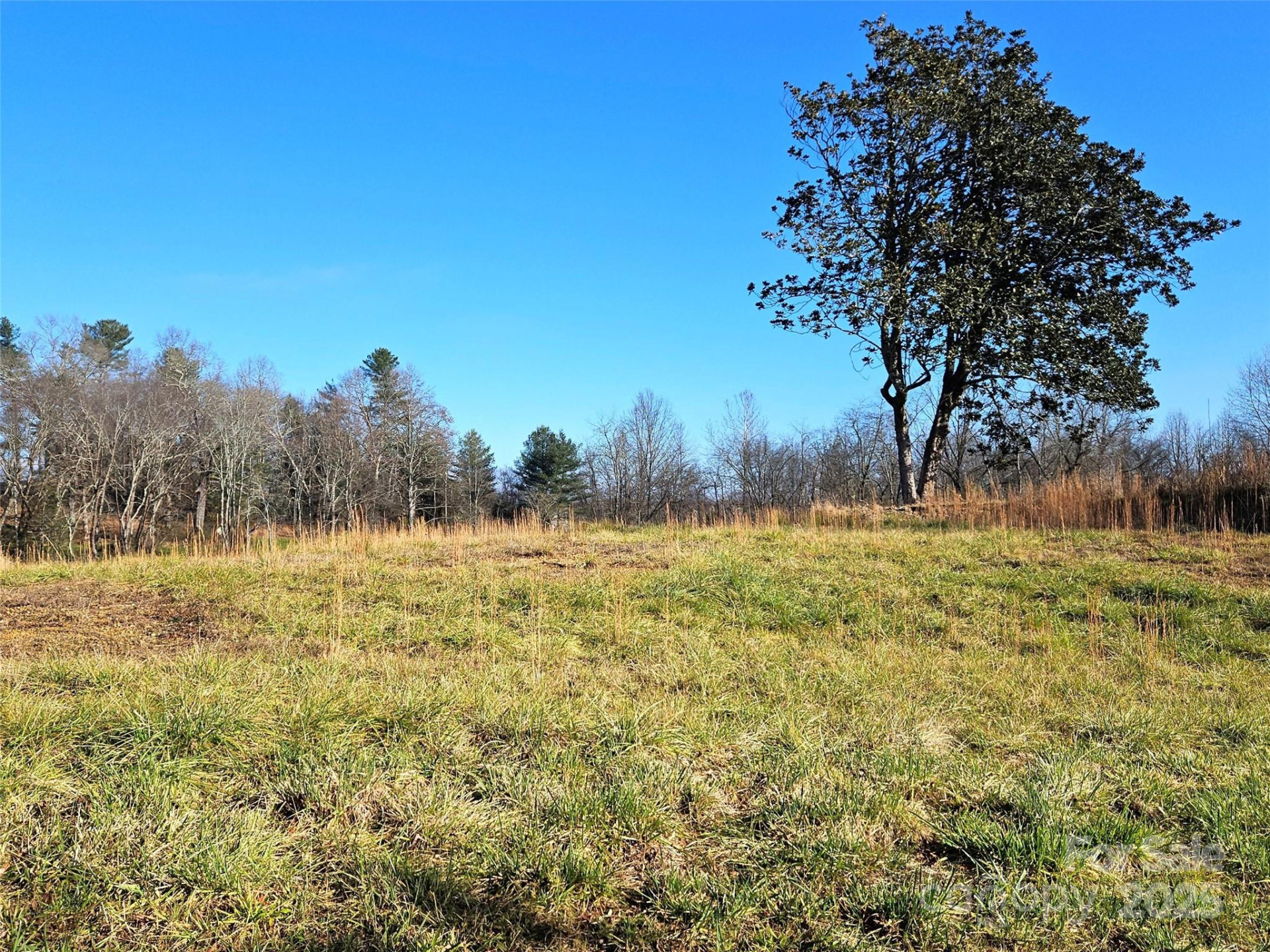 4794 Boylston Highway - Photo 6