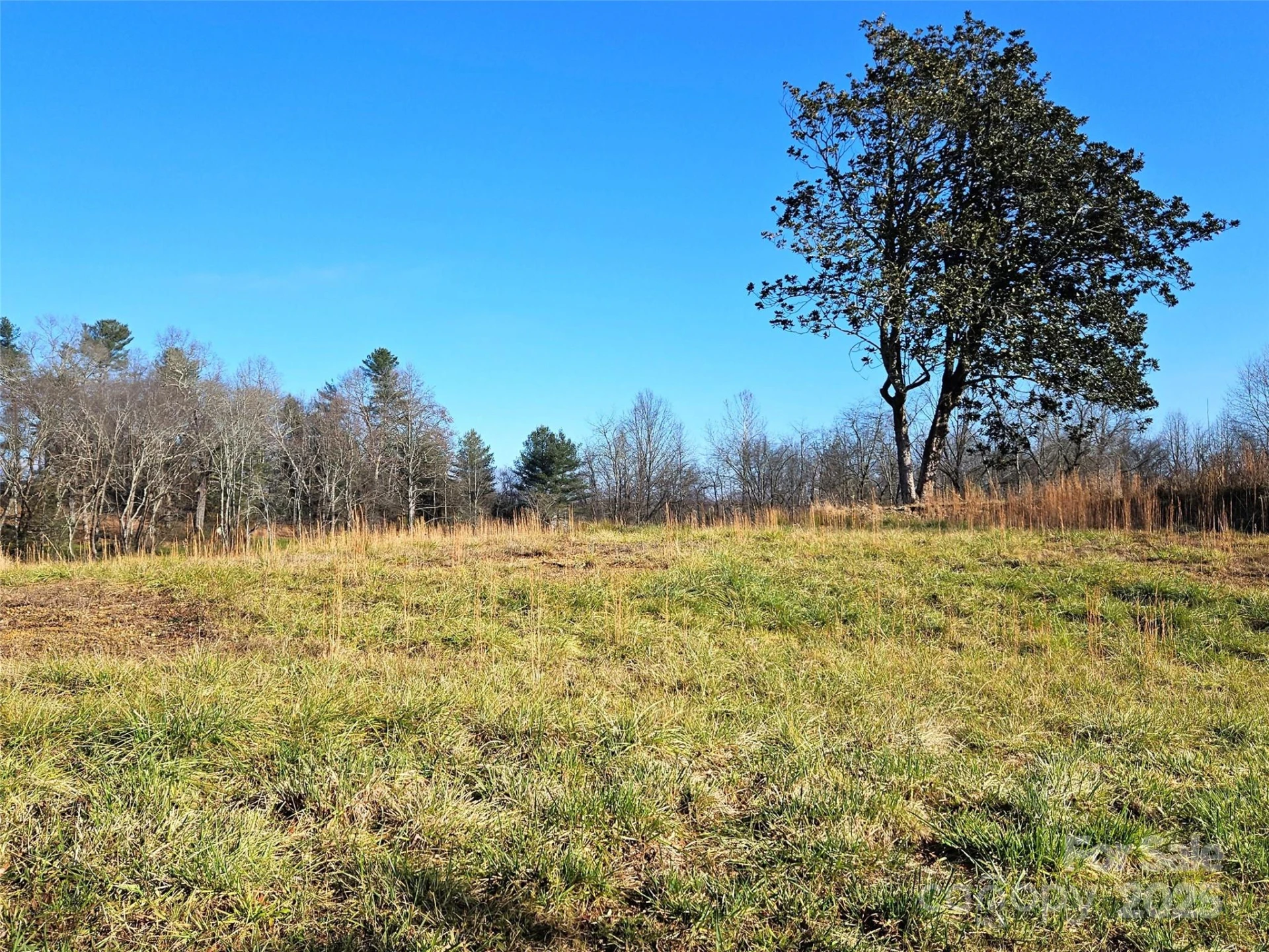 4794 Boylston Highway - Photo 6