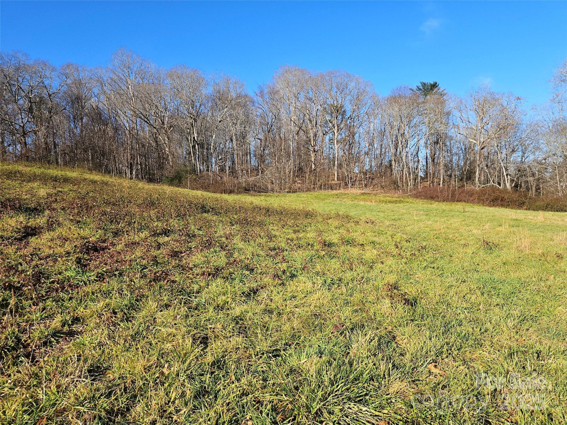 4794 Boylston Highway - Photo 9