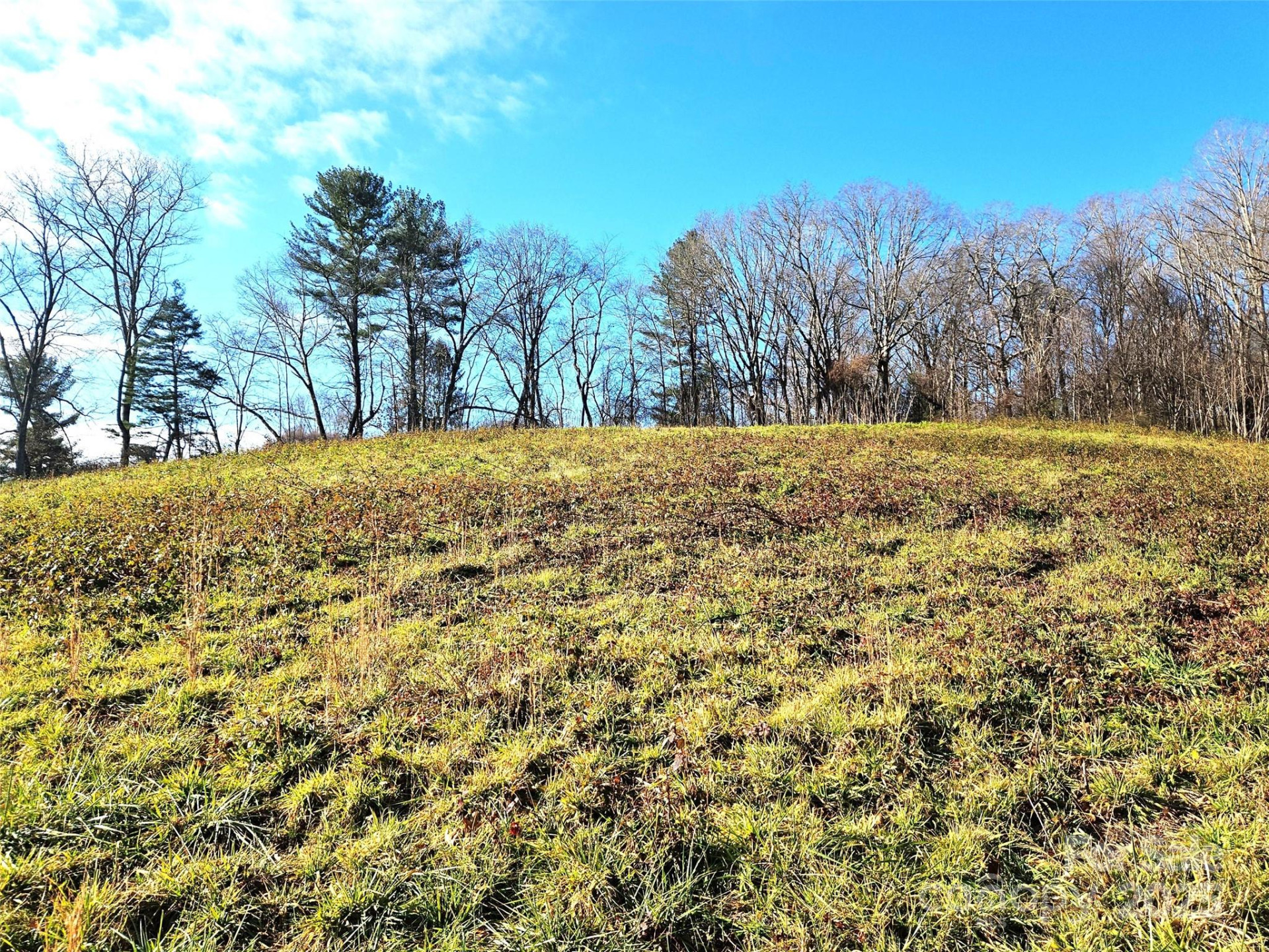 4794 Boylston Highway - Photo 10