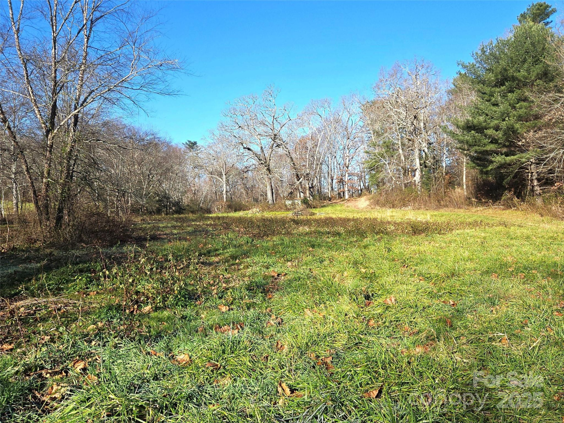 4794 Boylston Highway - Photo 13