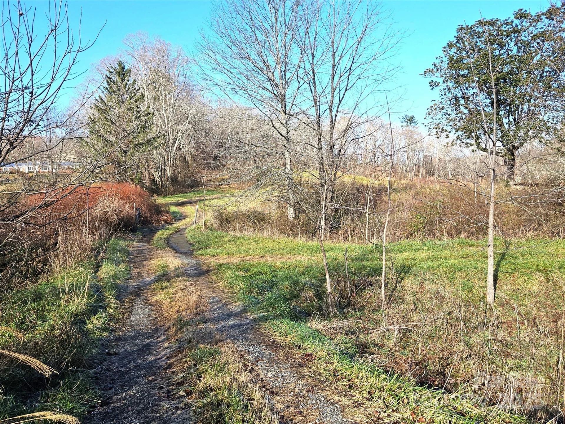 4794 Boylston Highway - Photo 14