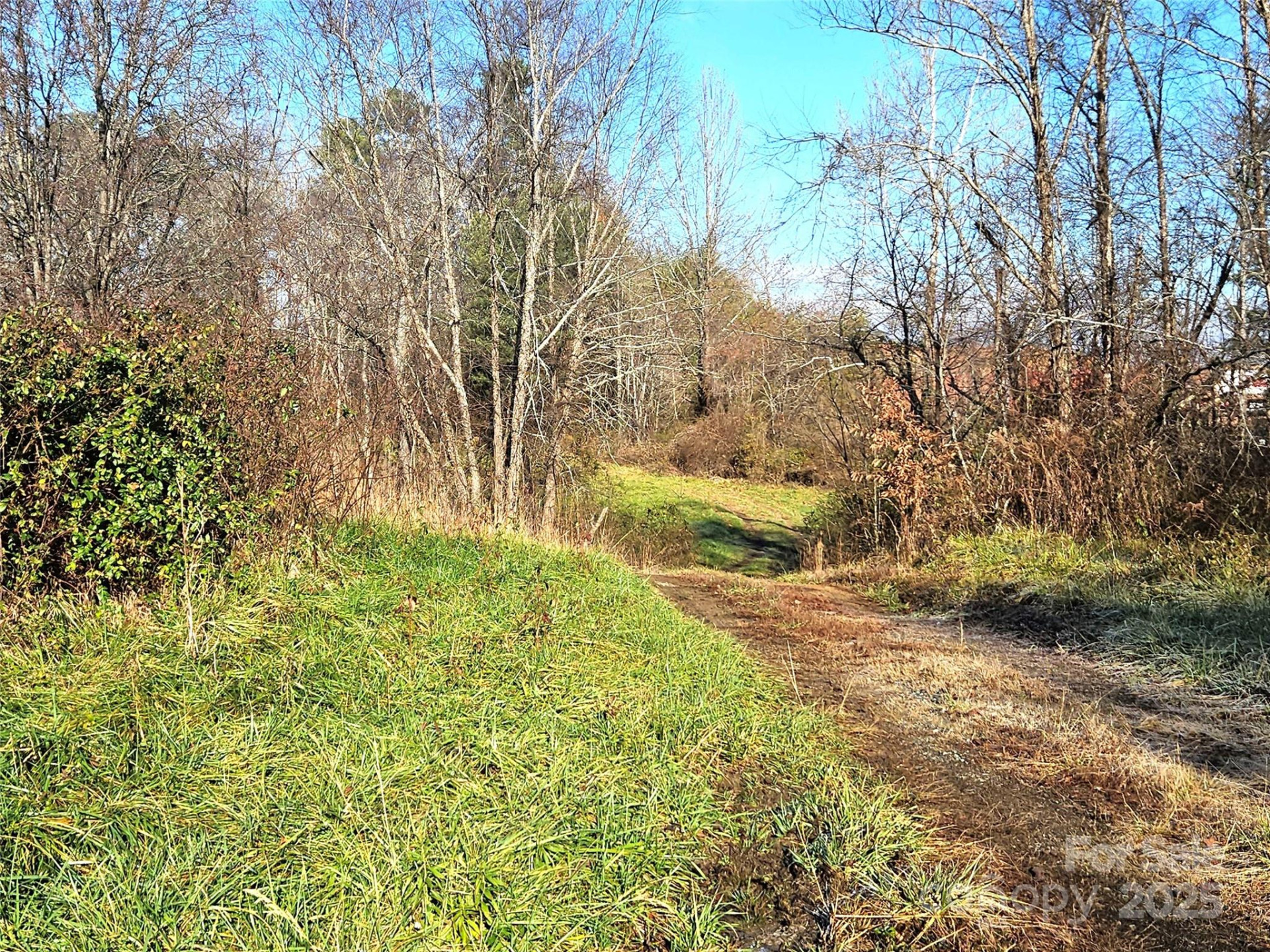 4794 Boylston Highway - Photo 3