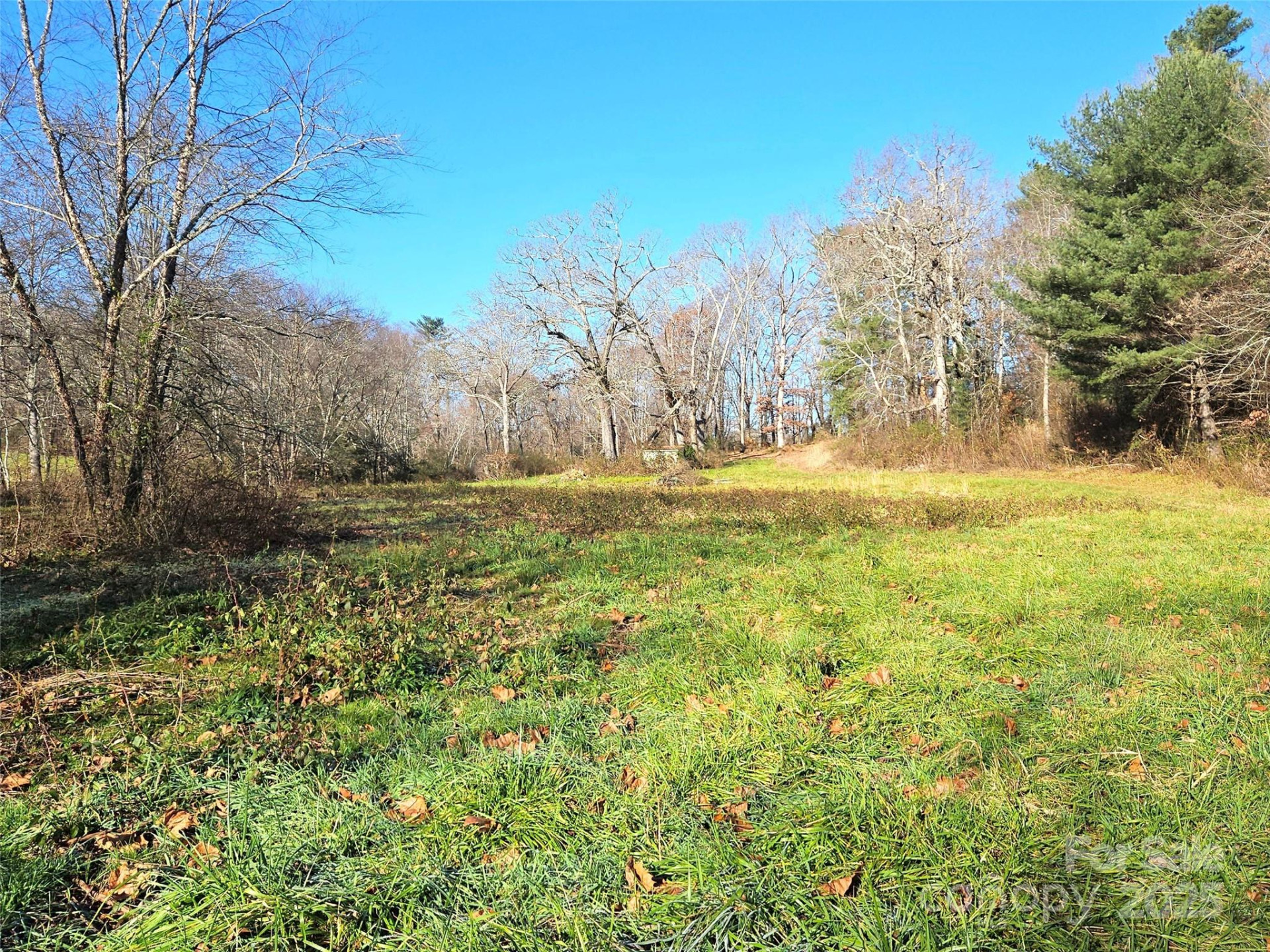 4794 Boylston Highway - Photo 4