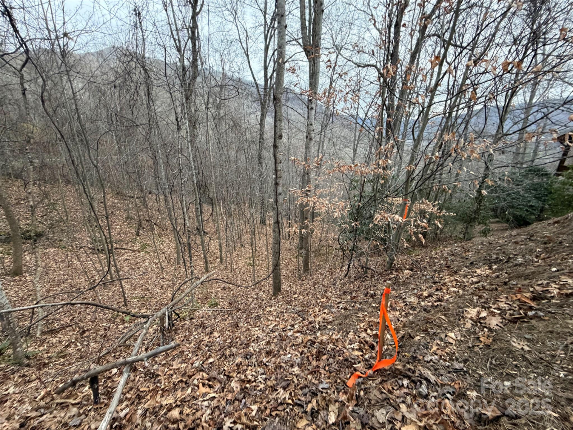 TBD Hornets Nest Road - Photo 14