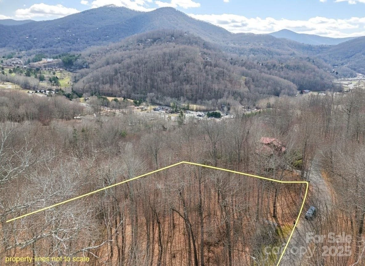 TBD Hornets Nest Road - Photo 8