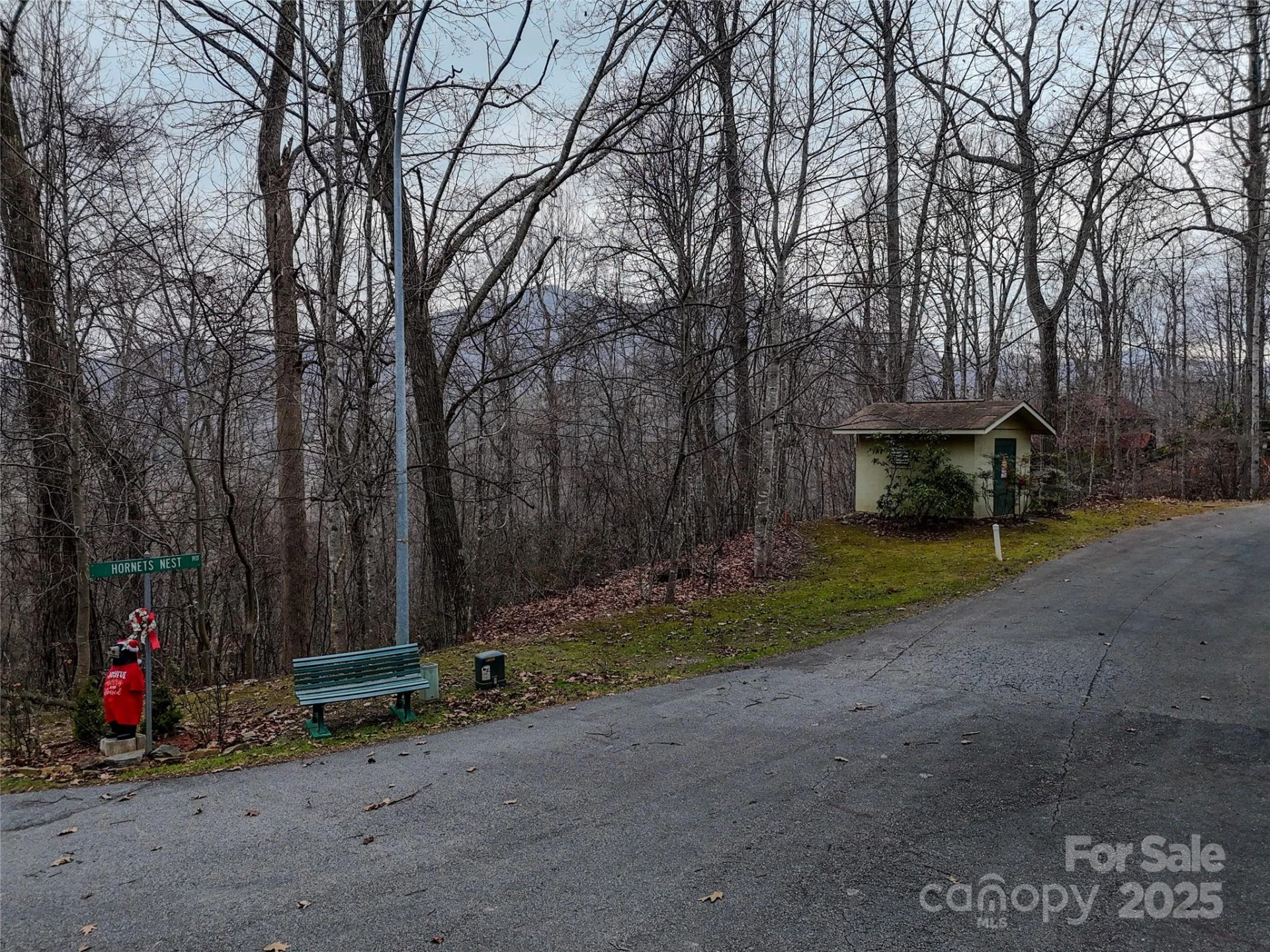 TBD Hornets Nest Road - Photo 9