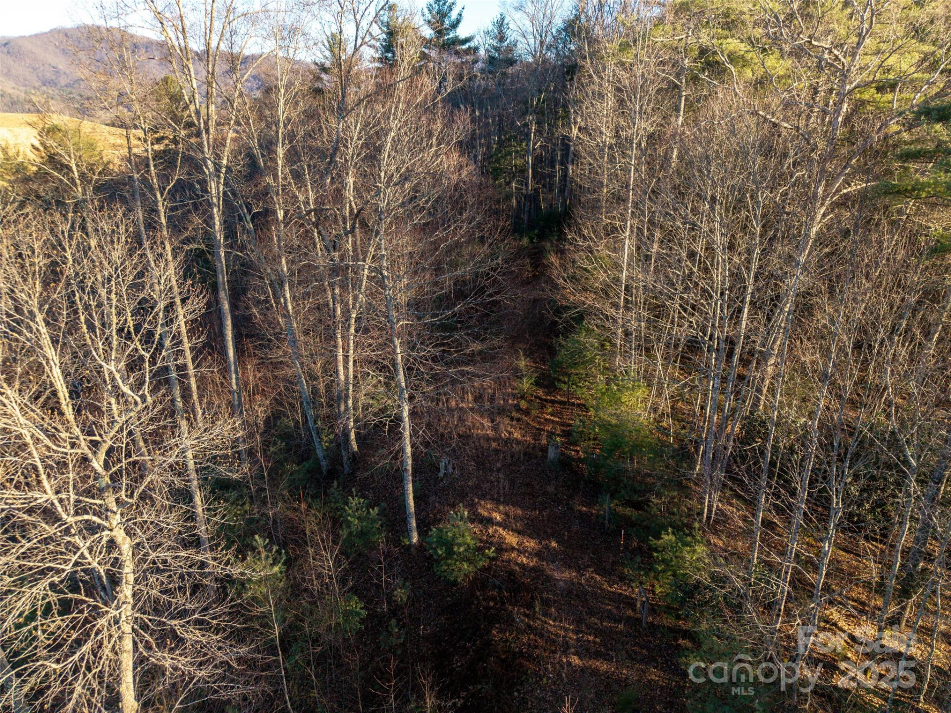 00 Eaglecrest Lane - Photo 6