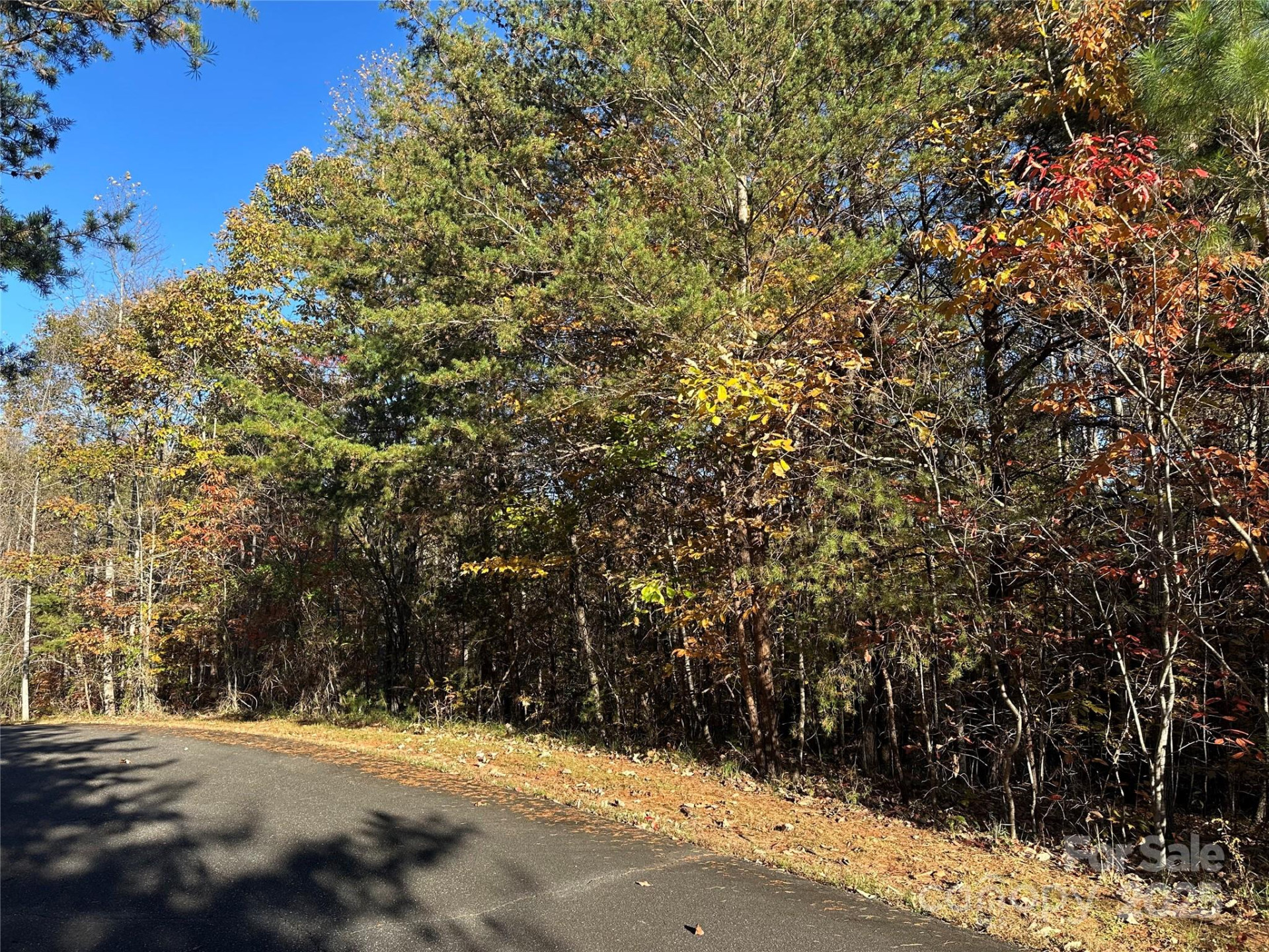 0 Rock Ledge Drive #339