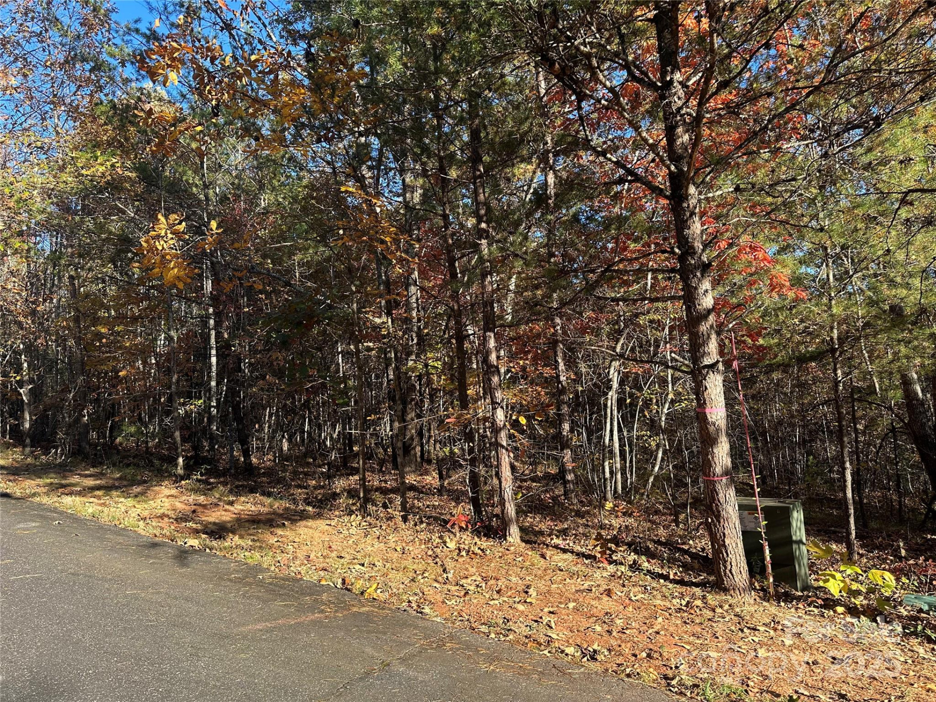 0 Rock Ledge Drive #339 - Photo 2