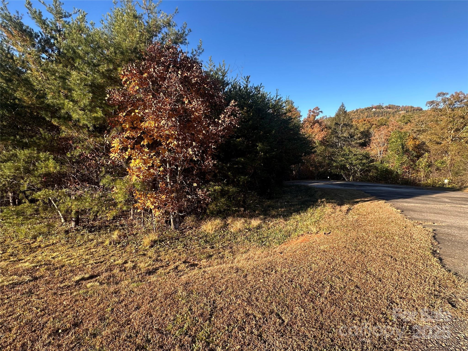 0 Rock Ledge Drive #339 - Photo 11