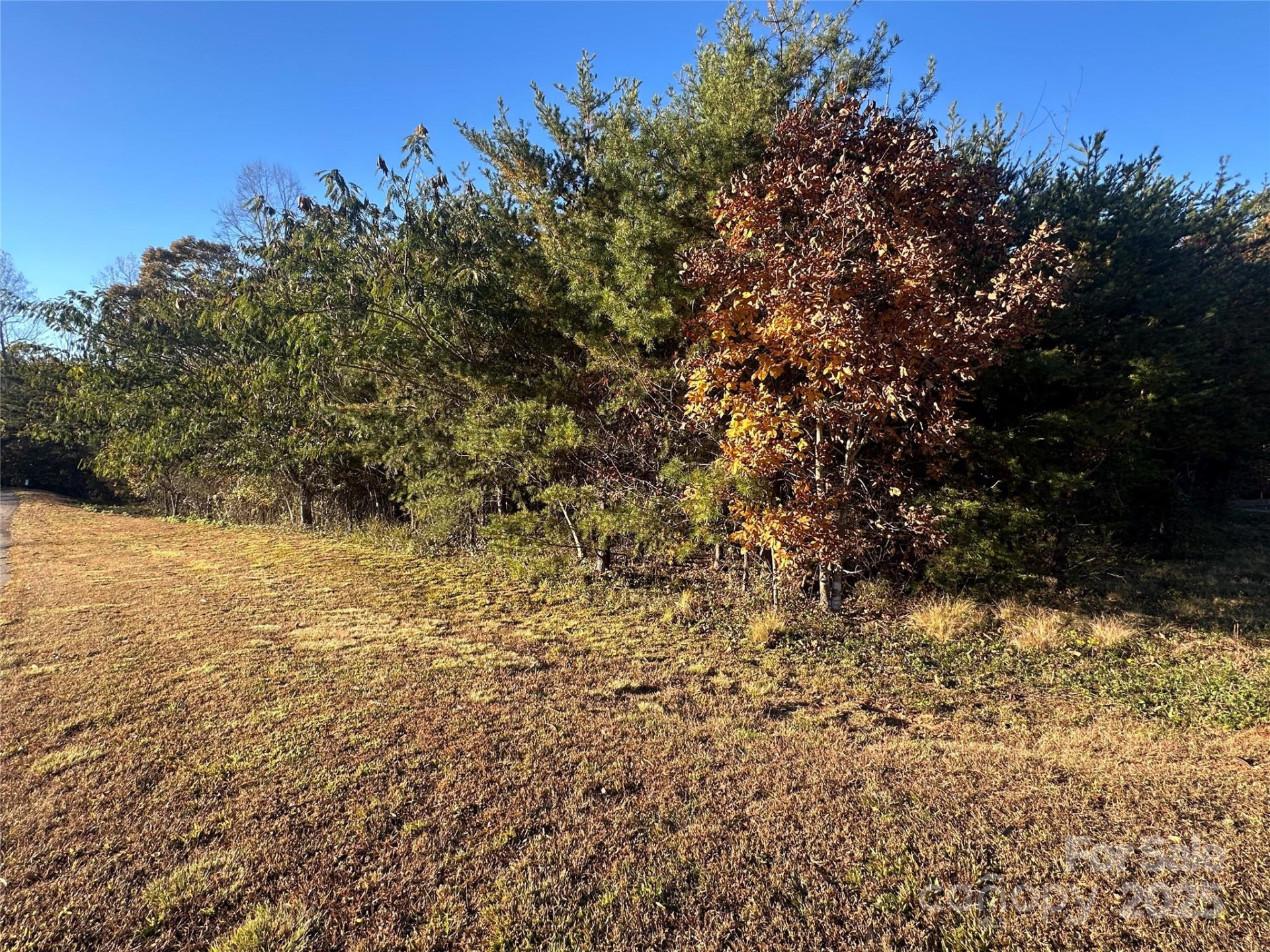 0 Rock Ledge Drive #339 - Photo 12