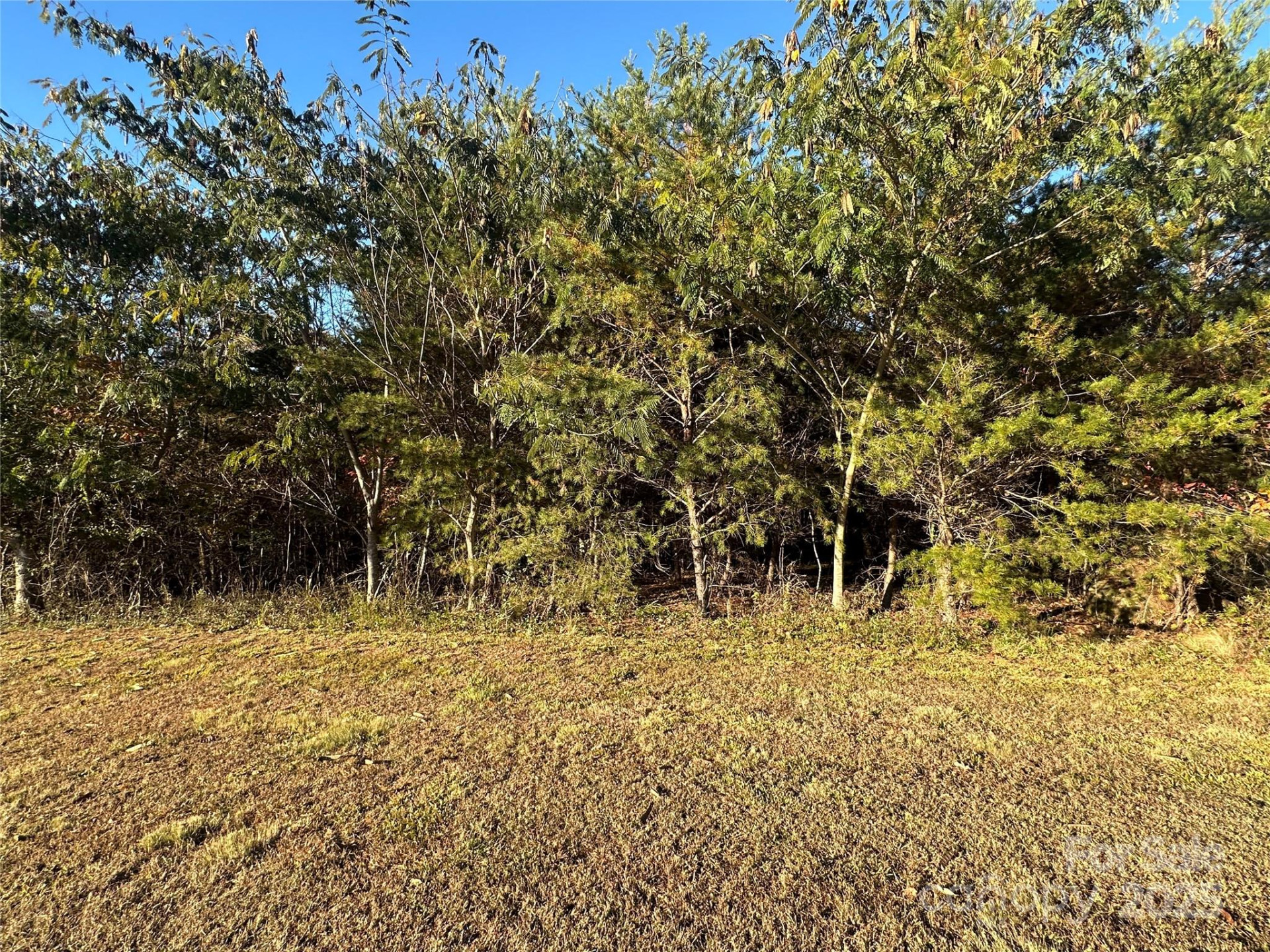 0 Rock Ledge Drive #339 - Photo 13