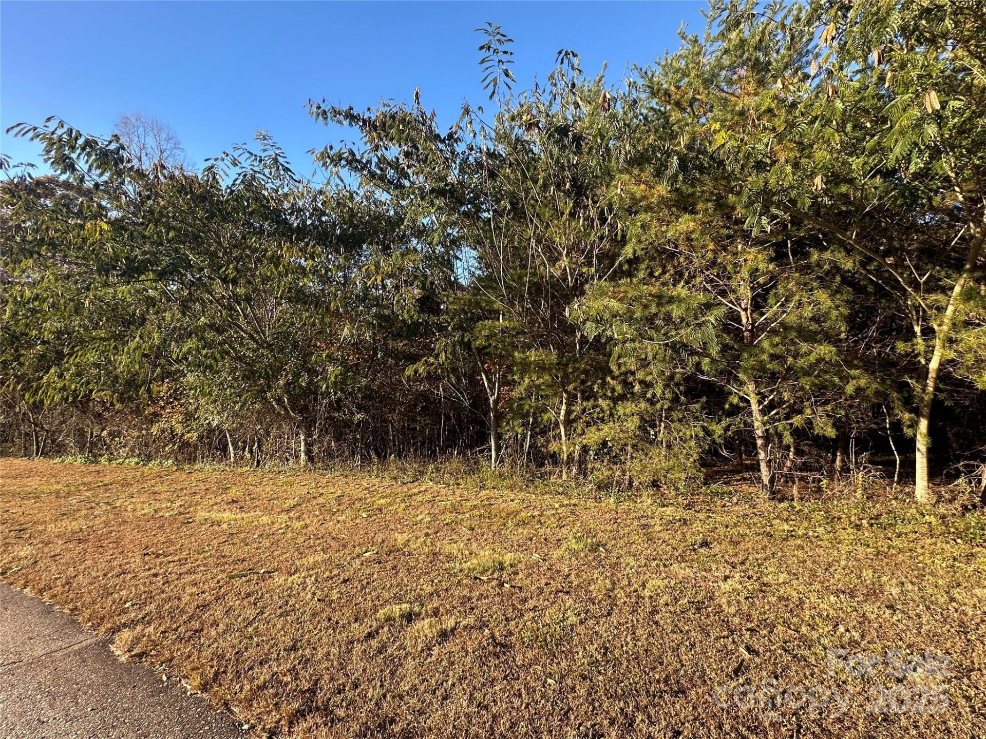 0 Rock Ledge Drive #339 - Photo 15