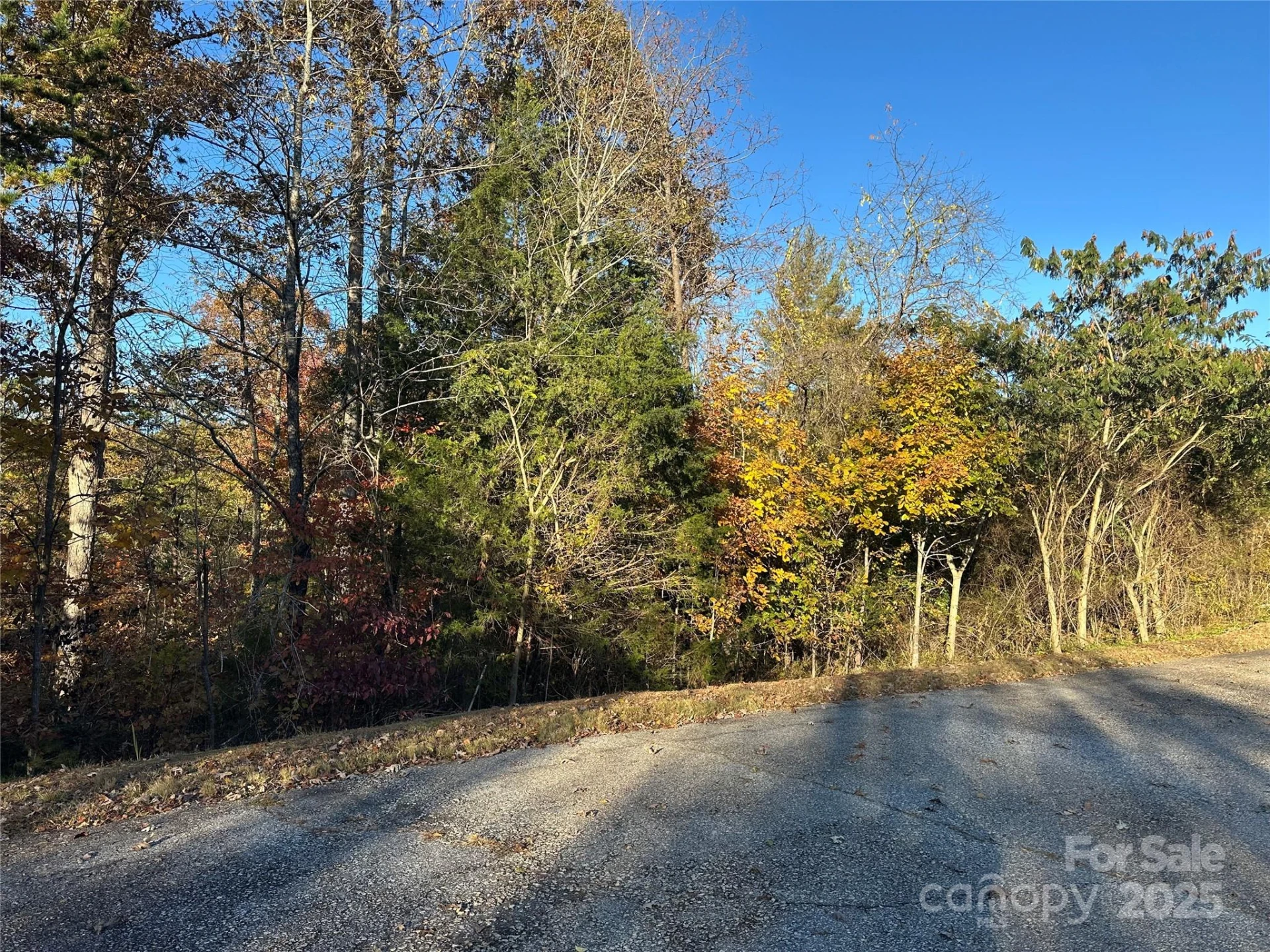 0 Rock Ledge Drive #339 - Photo 18