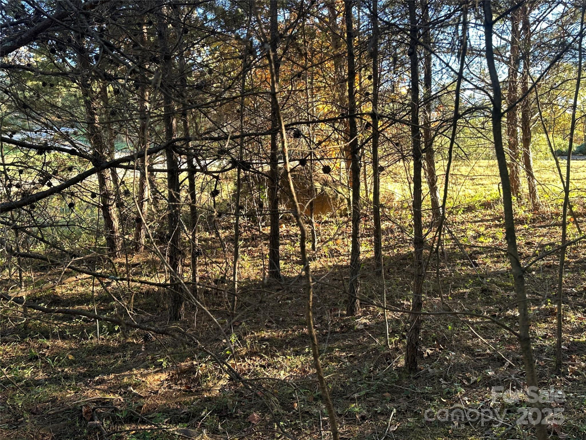 0 Rock Ledge Drive #339 - Photo 3