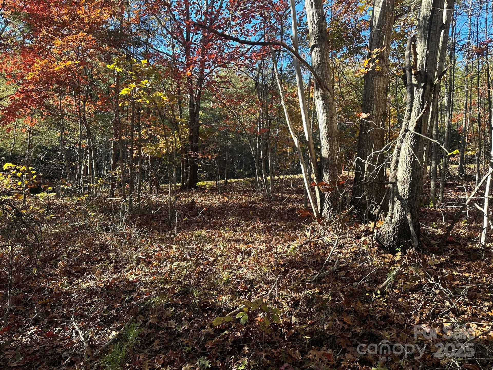 0 Rock Ledge Drive #339 - Photo 5