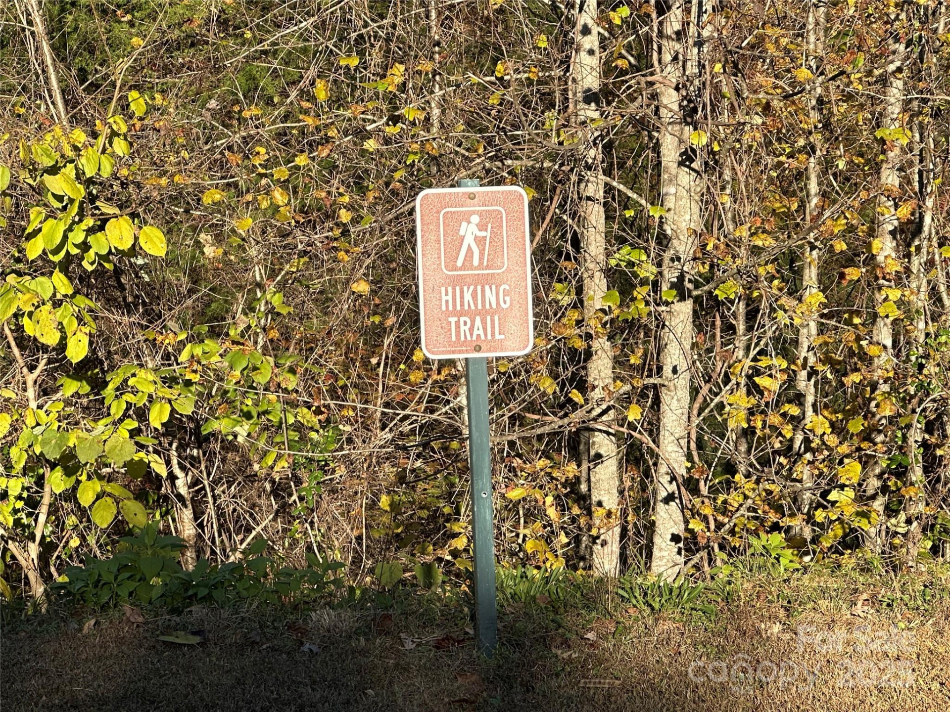 0 Rock Ledge Drive #339 - Photo 6