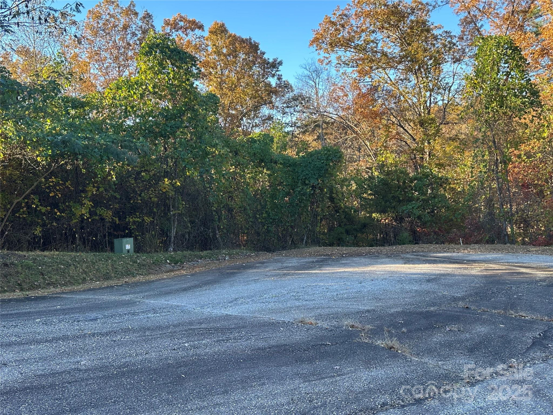 0 Rock Ledge Drive #339 - Photo 8