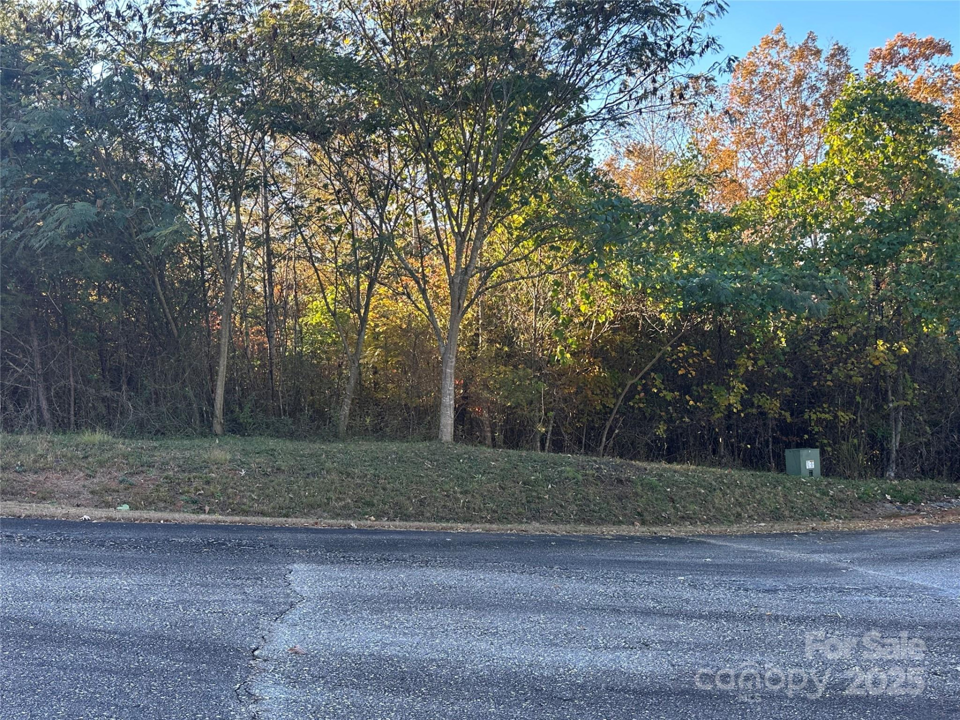 0 Rock Ledge Drive #339 - Photo 9