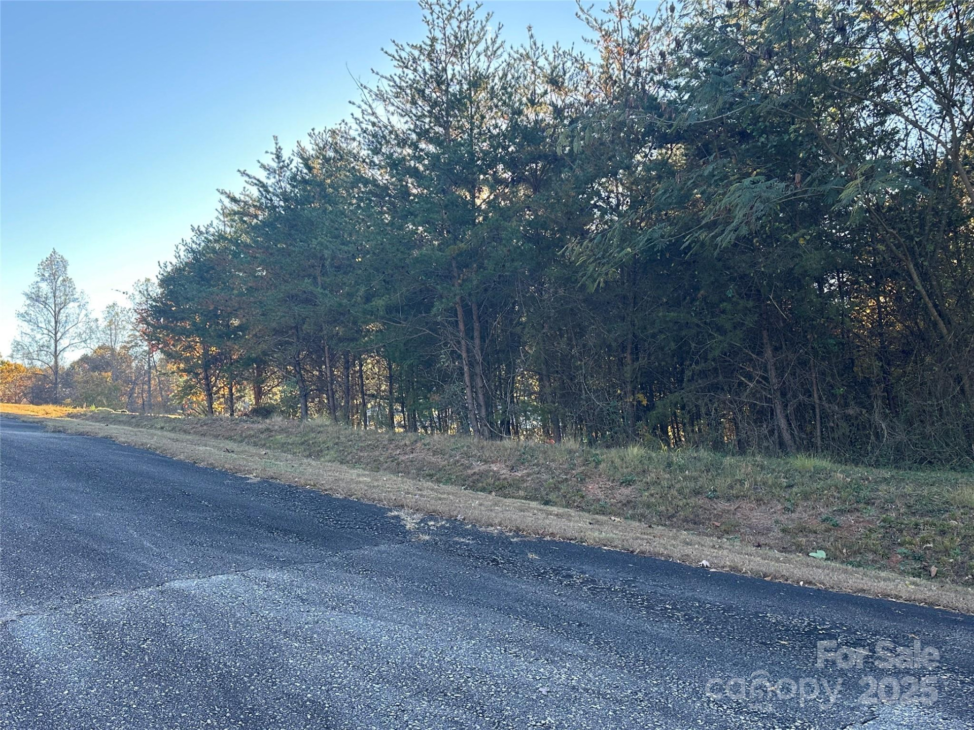 0 Rock Ledge Drive #339 - Photo 10