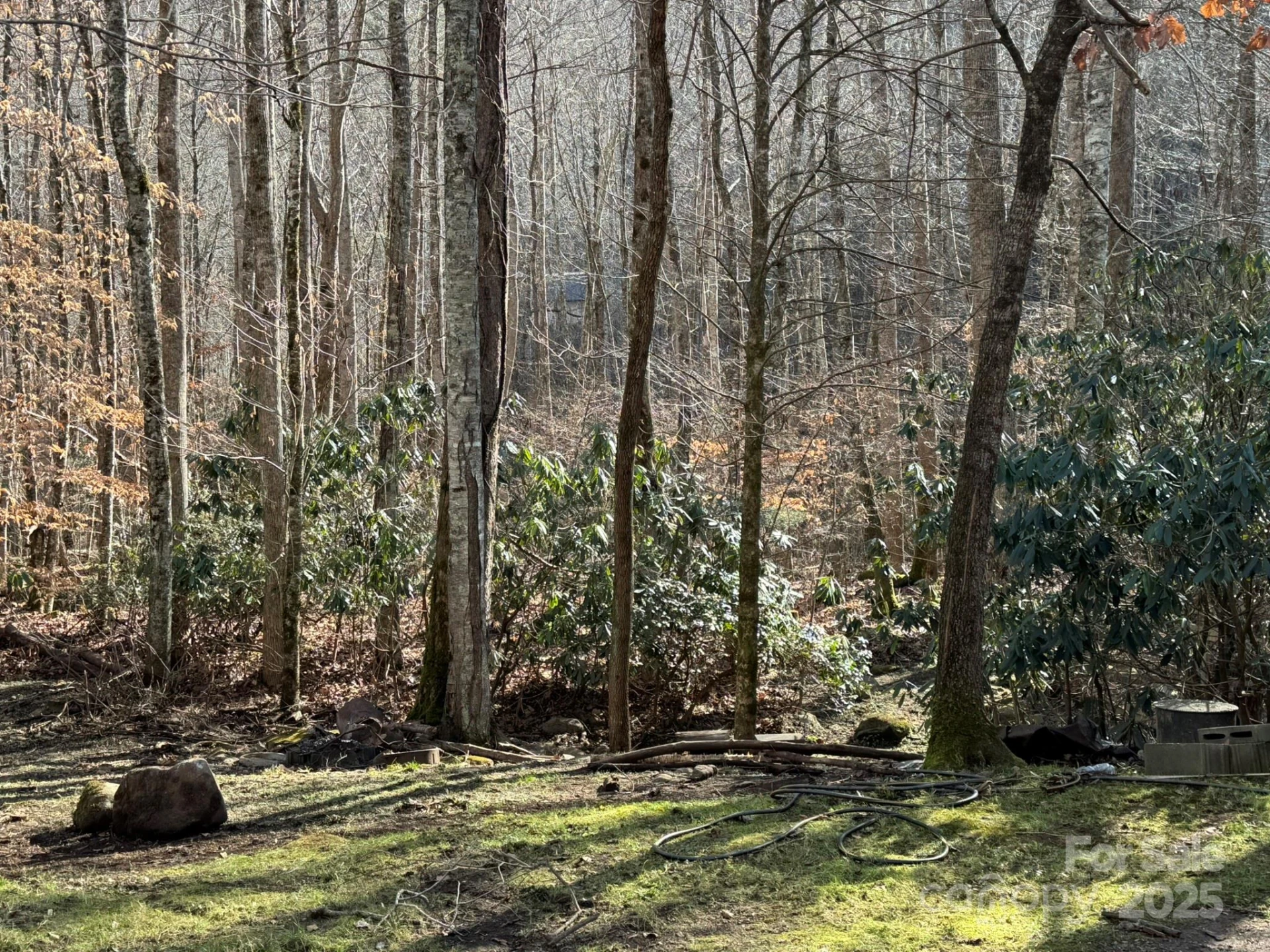80 Larkspur Lane - Photo 4