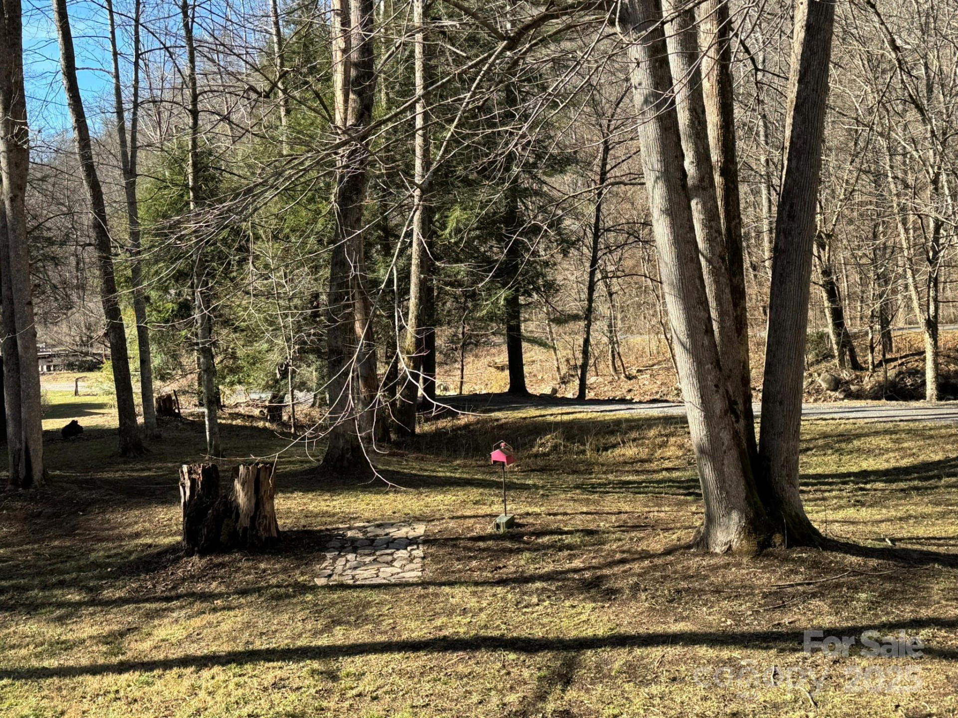 80 Larkspur Lane - Photo 7