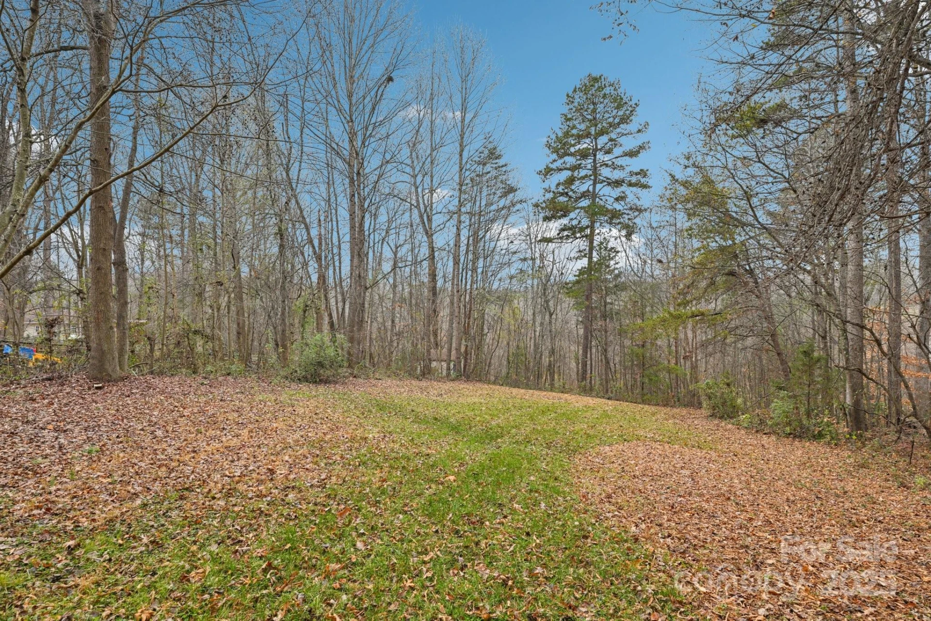 3543 Lake Bluff Drive - Photo 38