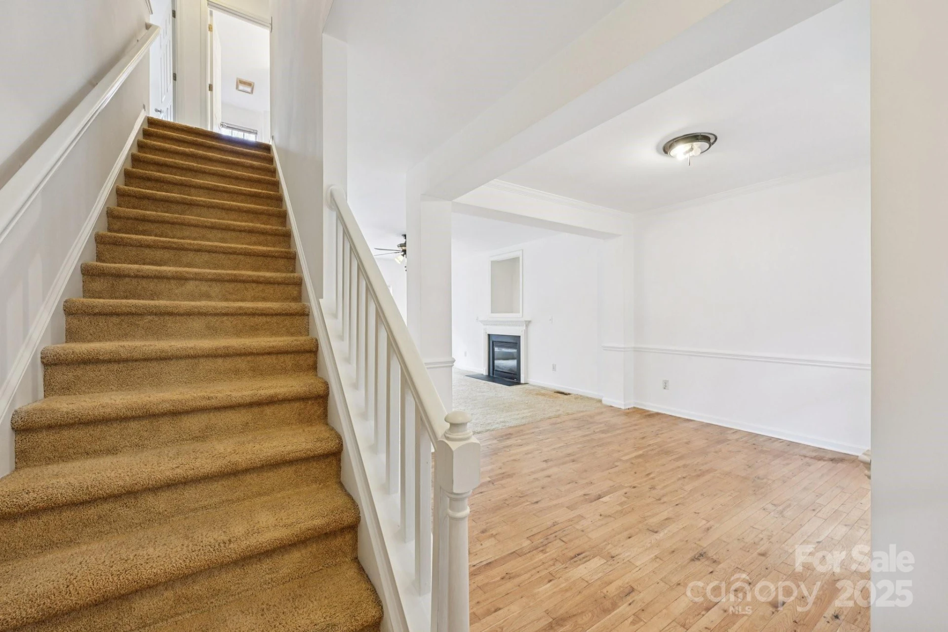 3543 Lake Bluff Drive - Photo 9