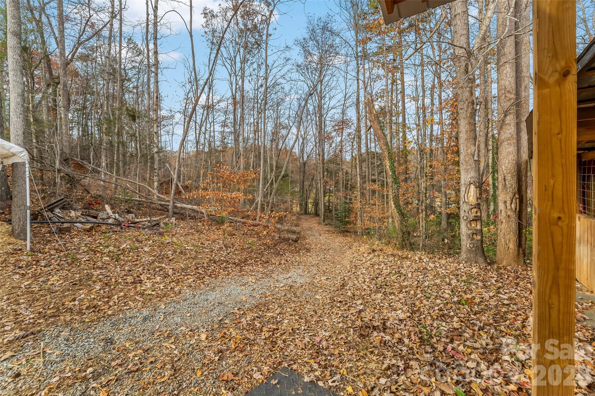1654 Goose Creek Road - Photo 39