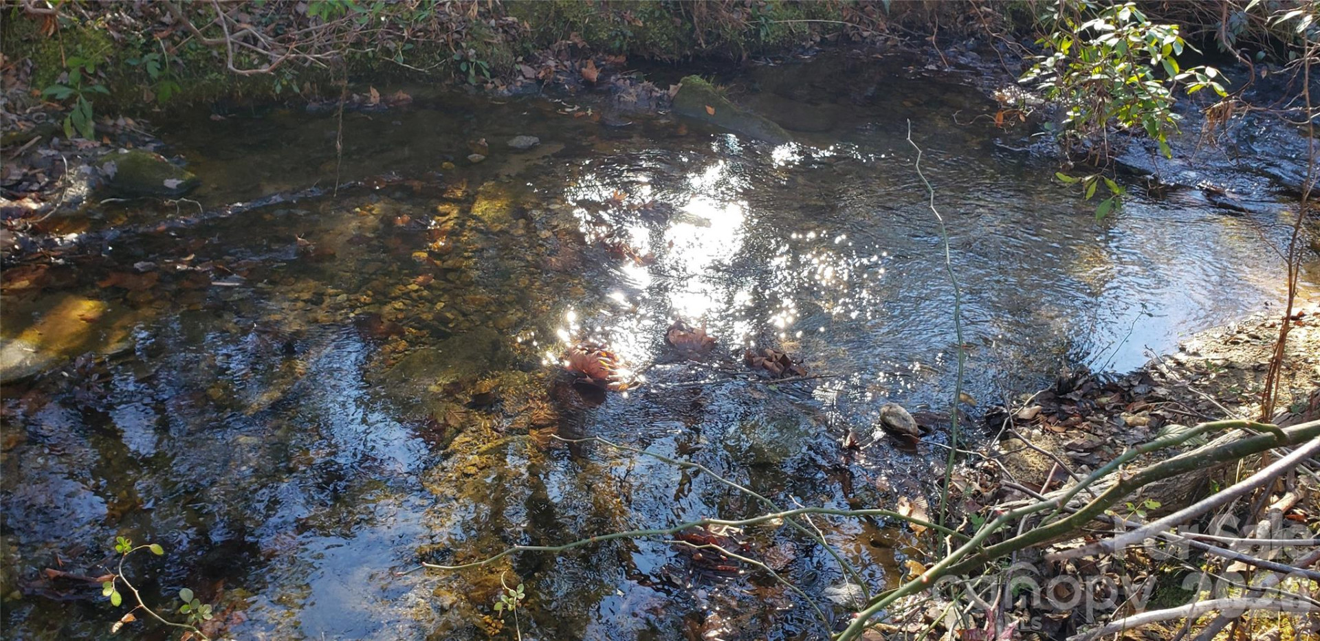 512 Hemphill Road - Photo 12