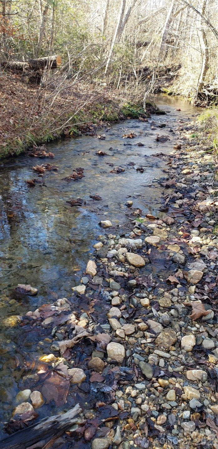 512 Hemphill Road - Photo 13