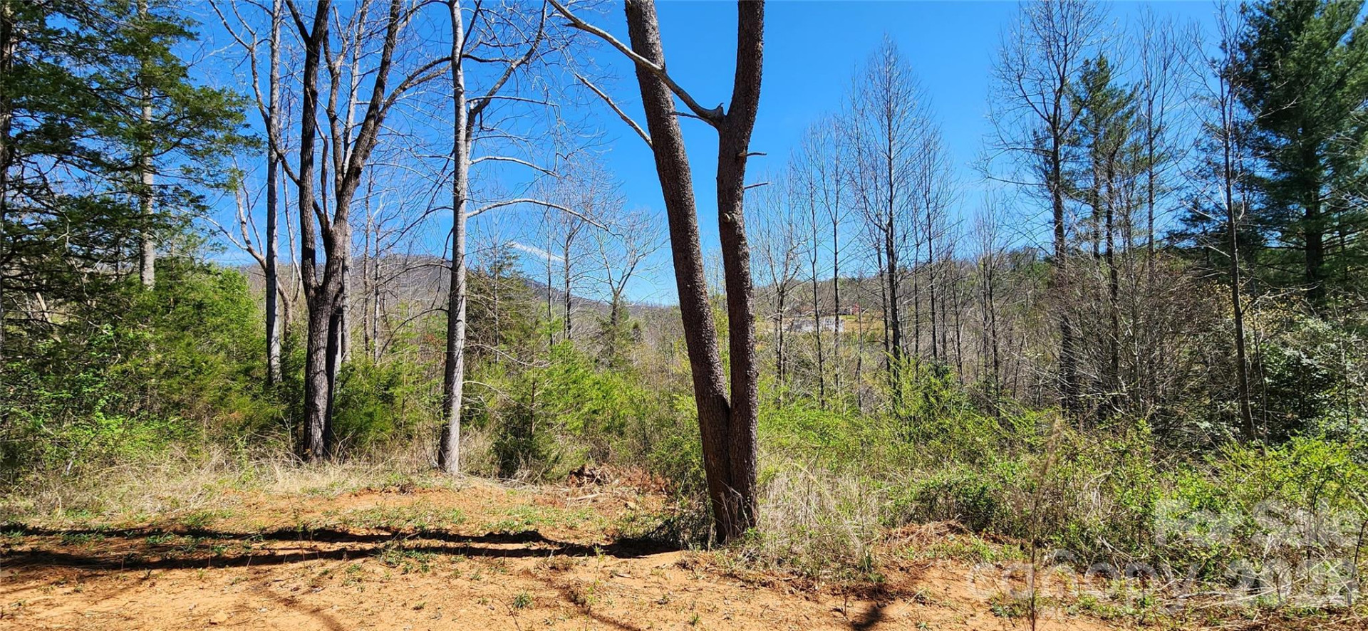 512 Hemphill Road - Photo 41