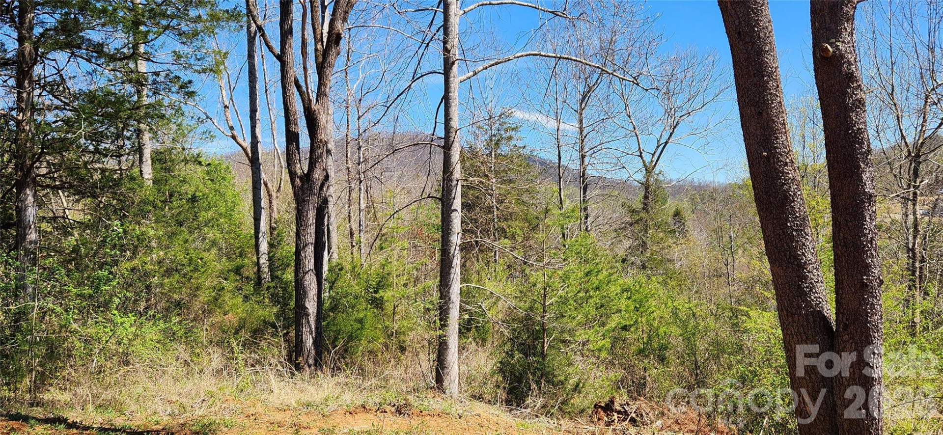 512 Hemphill Road - Photo 42