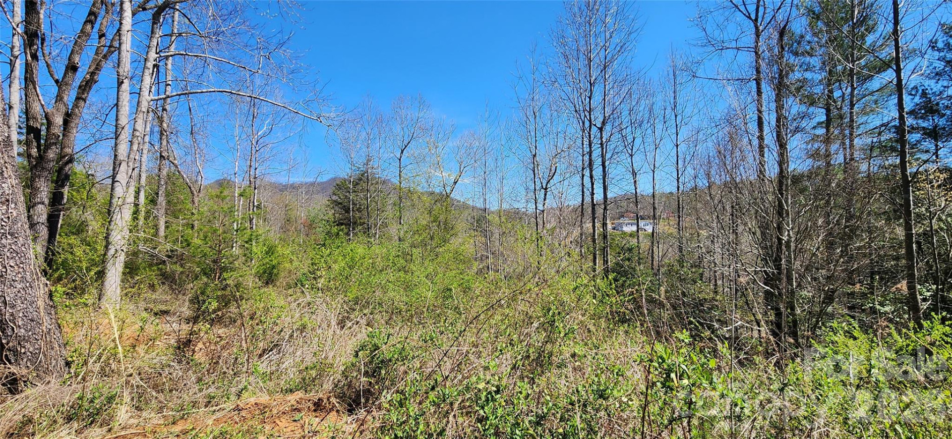 512 Hemphill Road - Photo 46