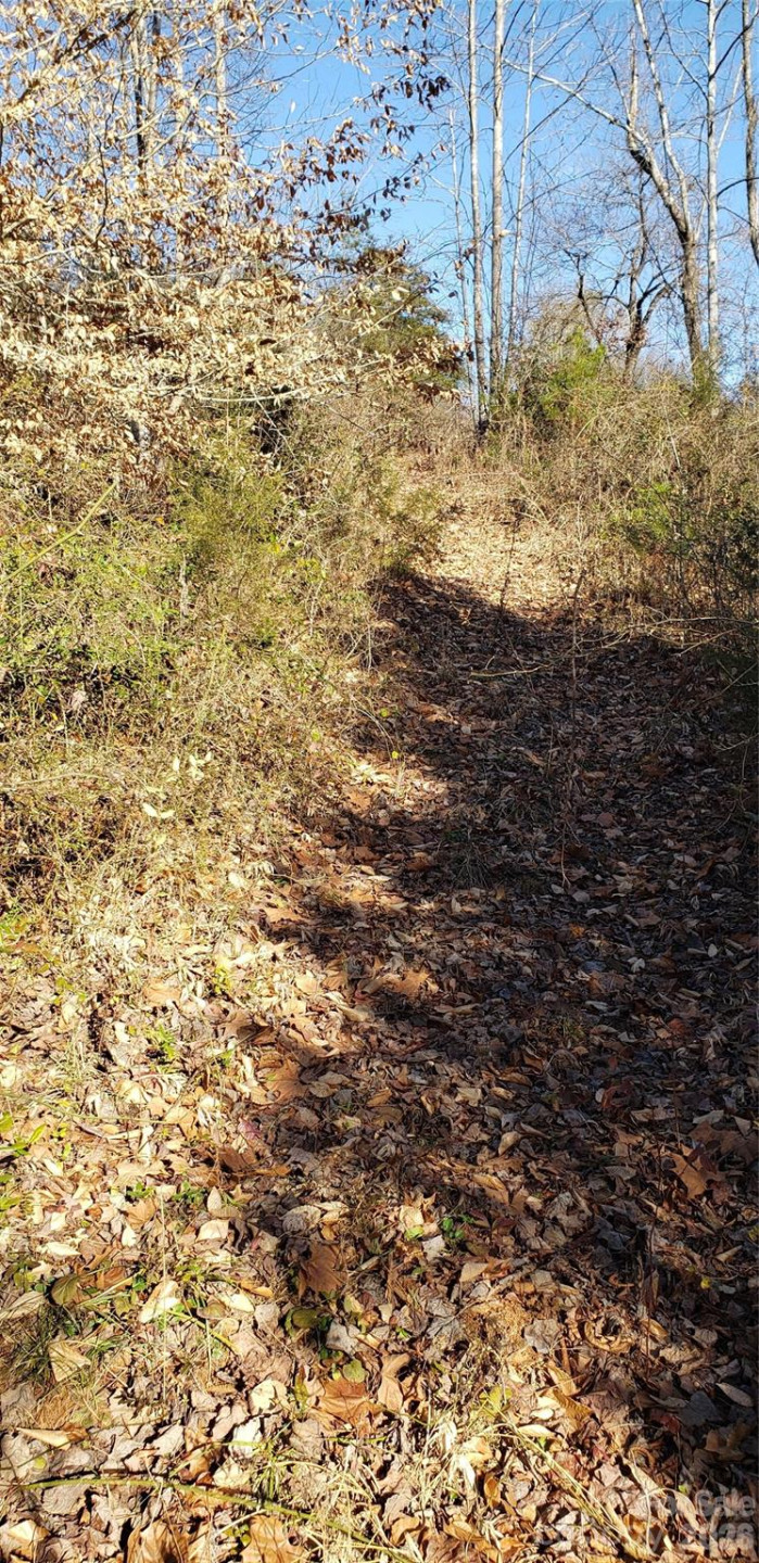 512 Hemphill Road - Photo 9