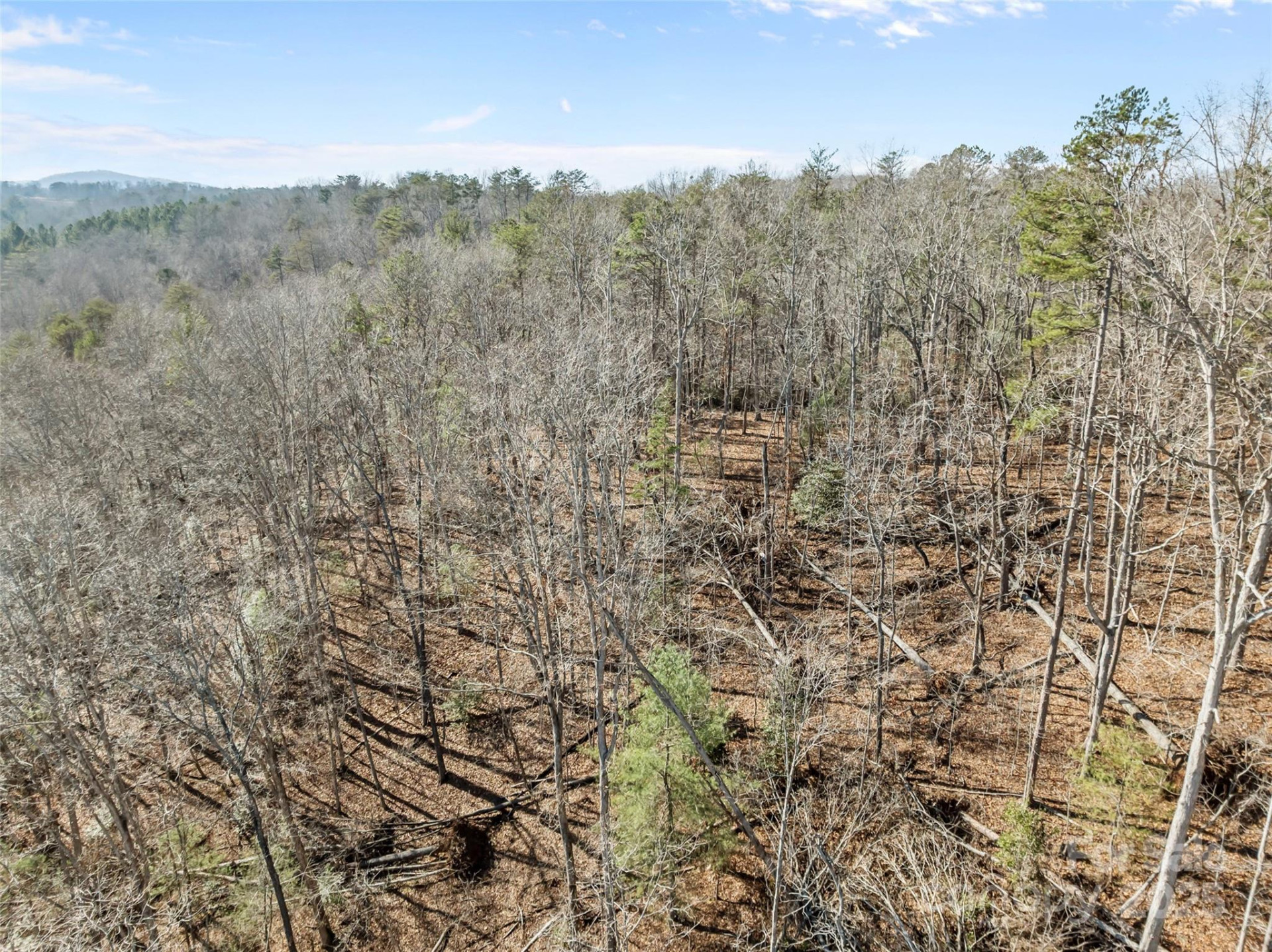 0 Darrow Drive #Lot 97 - Photo 11