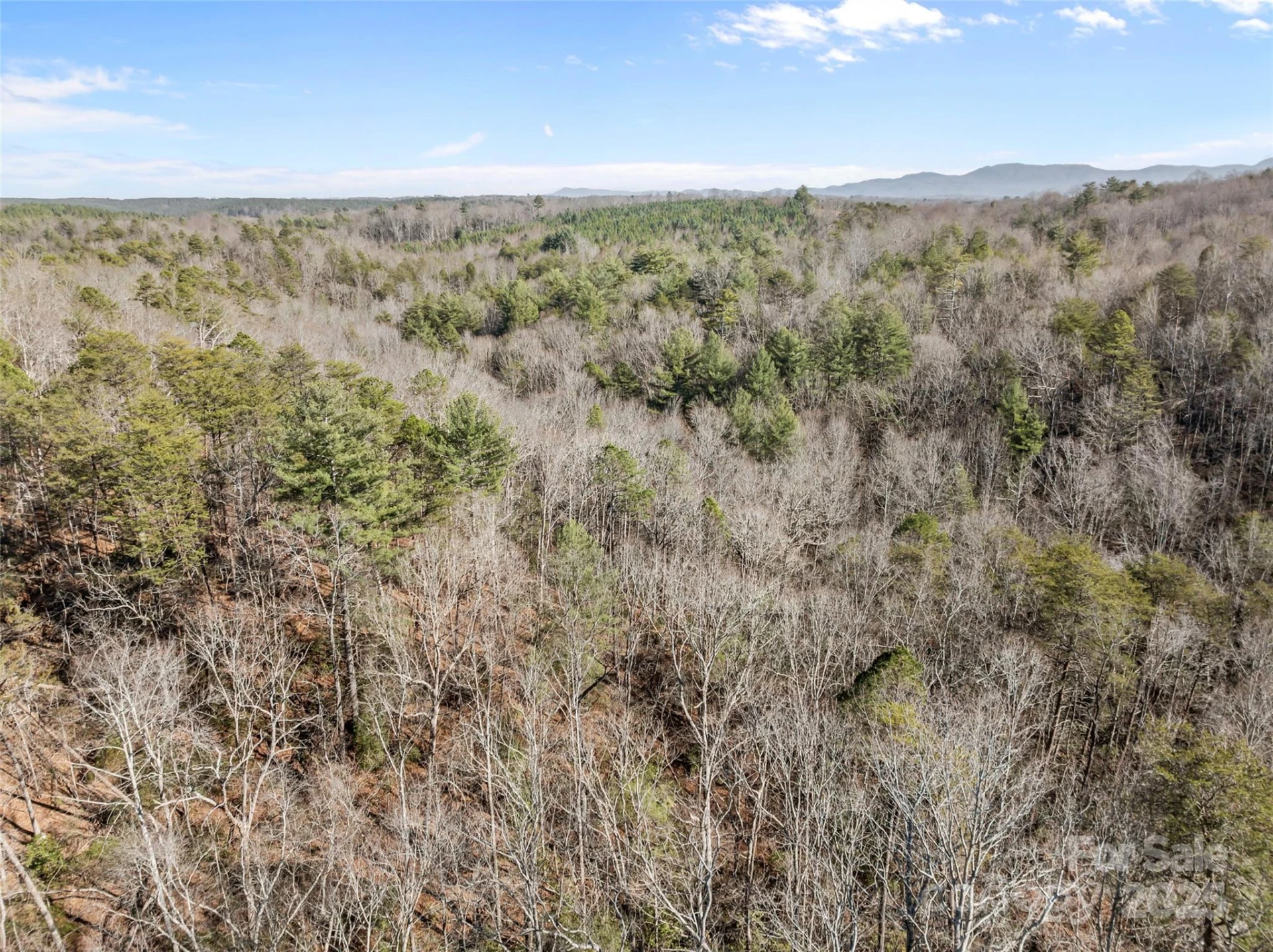 0 Darrow Drive #Lot 97 - Photo 10