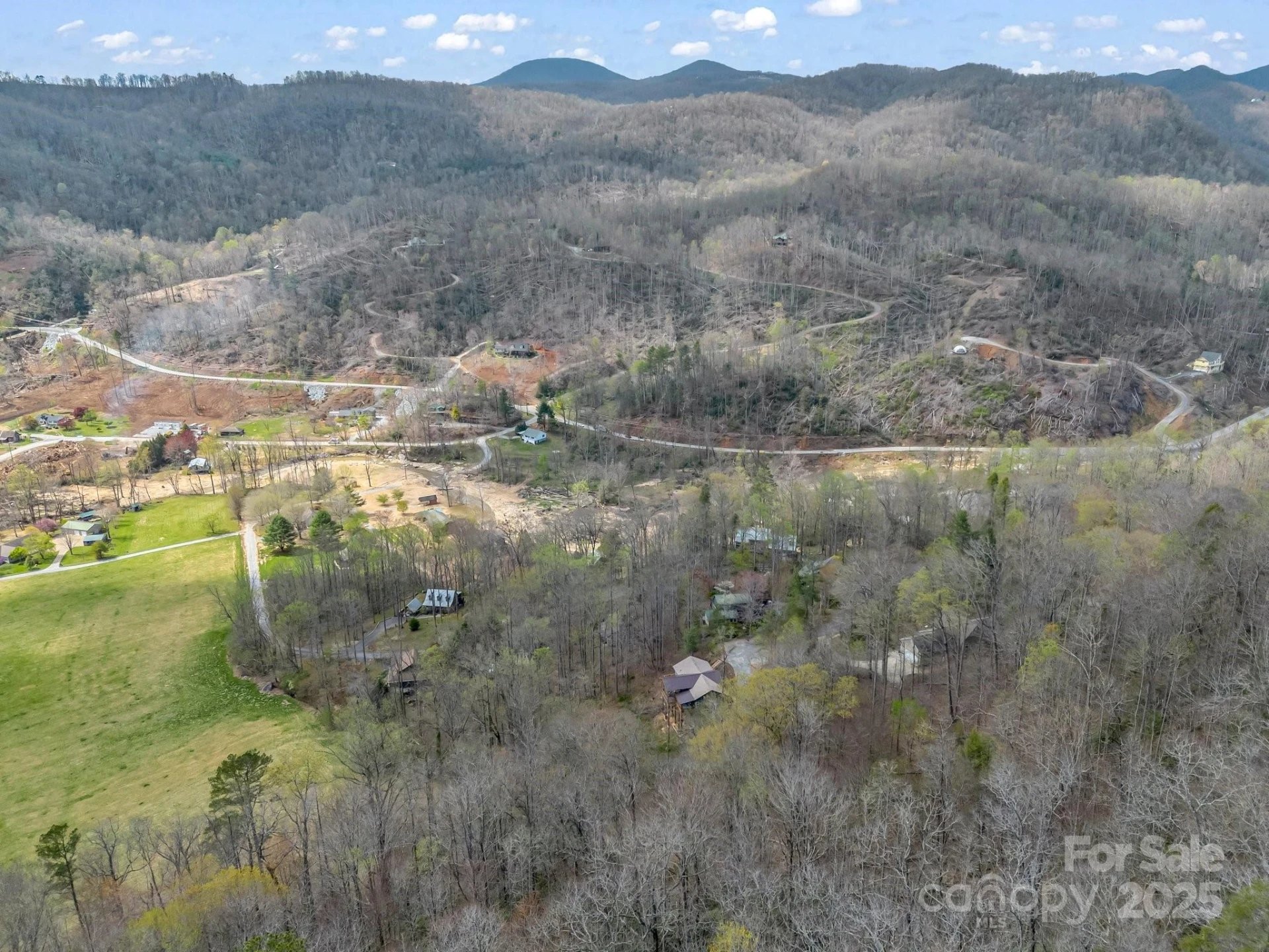 107 Twisted Birch Drive - Photo 12
