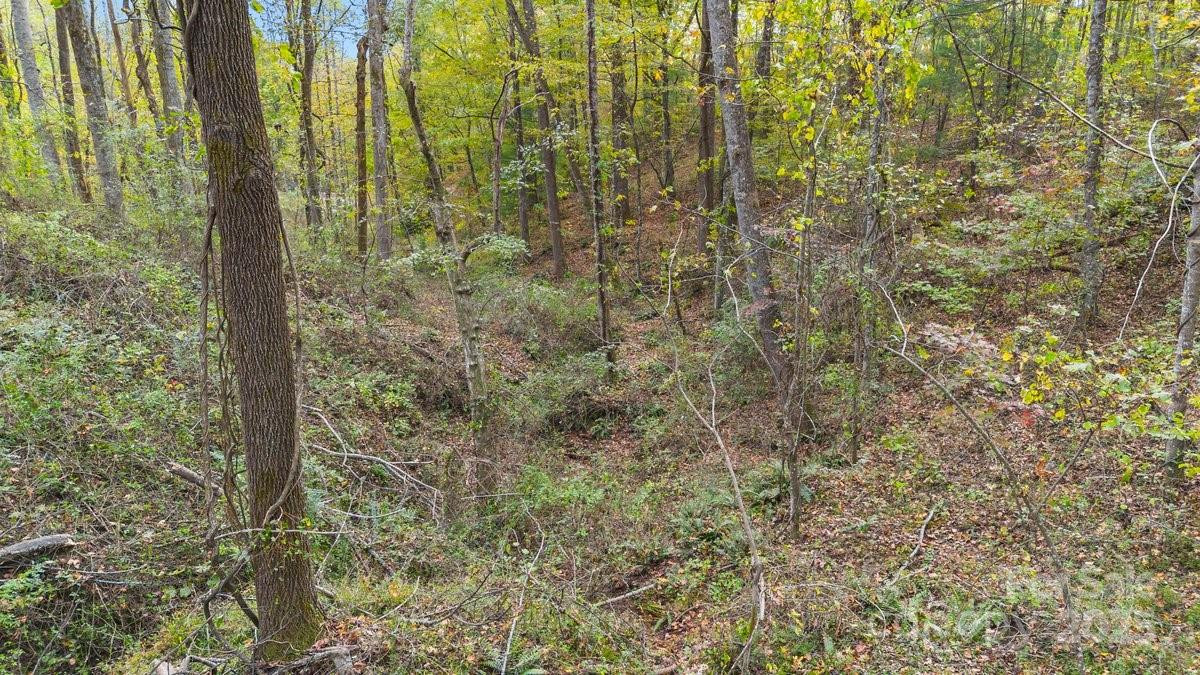 o Kilpatrick Road - Photo 9