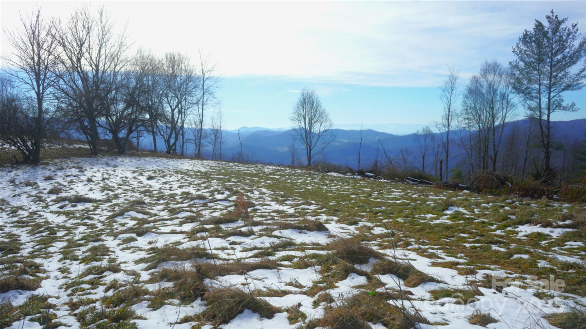 SR-1386 Sang Branch, Hog Branch Road - Photo 2