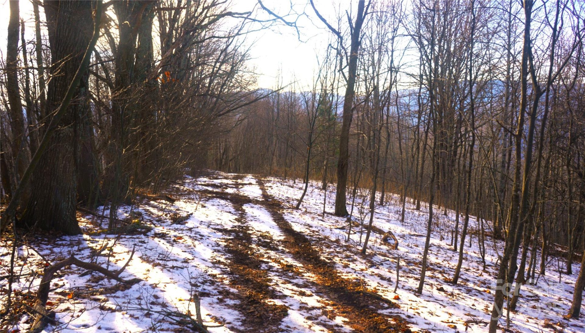 SR-1386 Sang Branch, Hog Branch Road - Photo 11