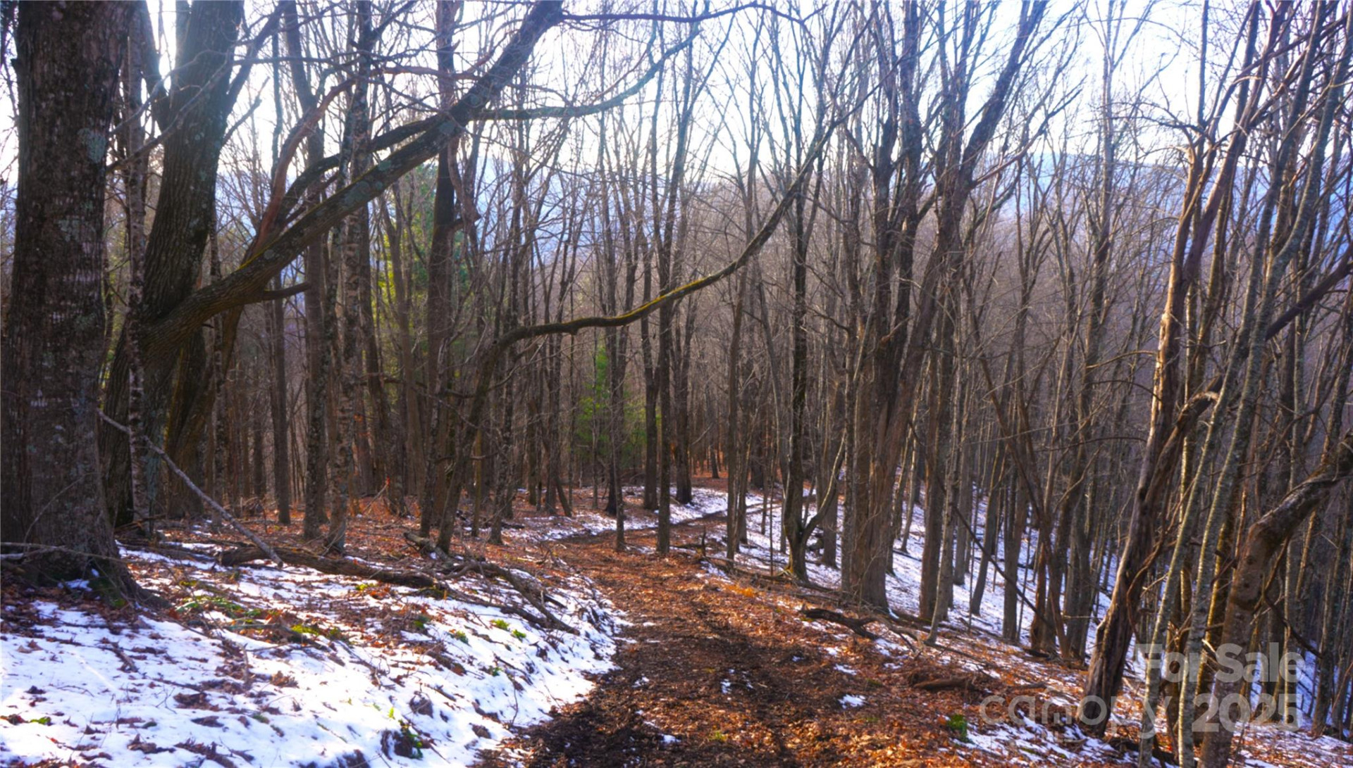 SR-1386 Sang Branch, Hog Branch Road - Photo 12