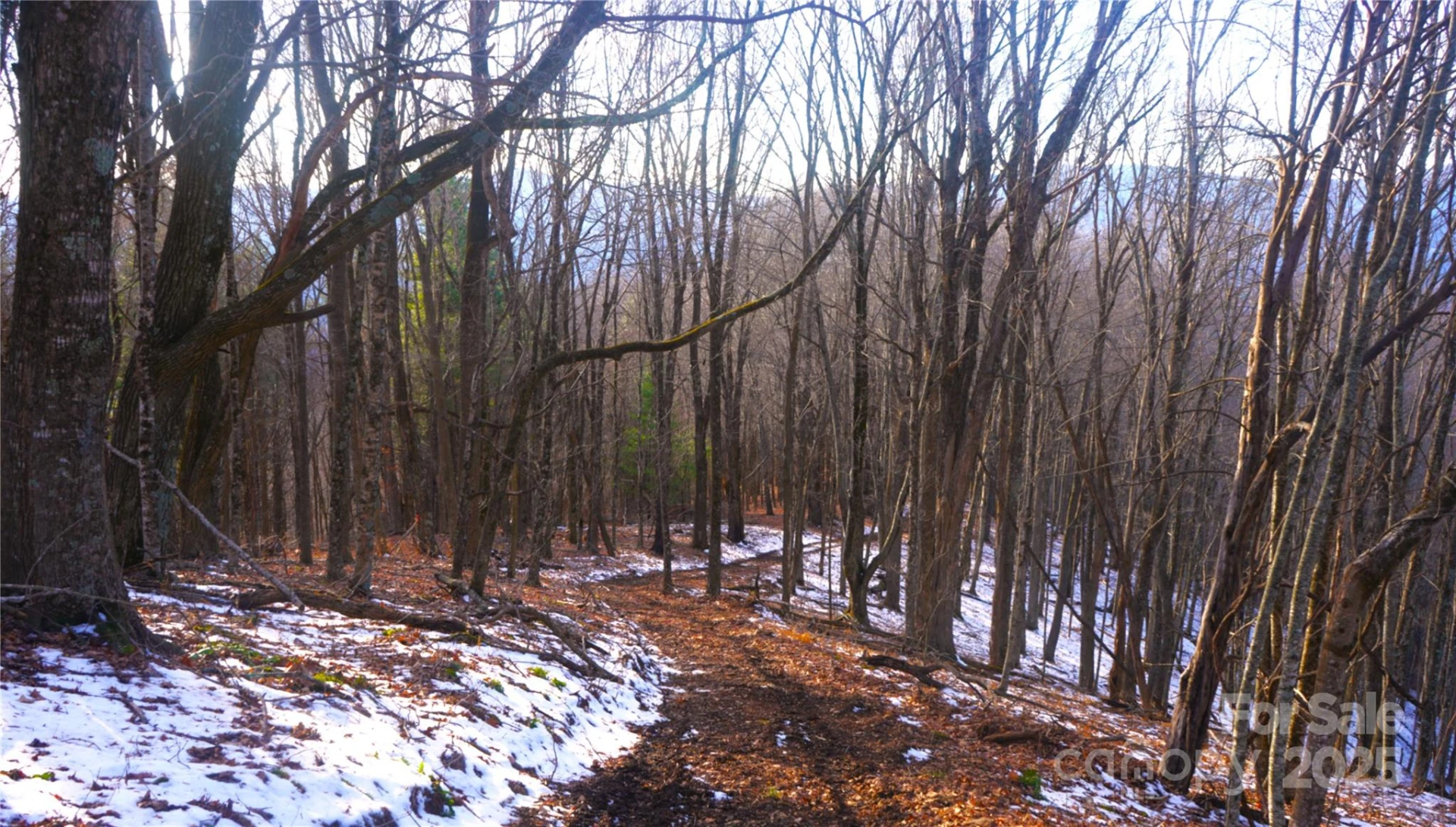 SR-1386 Sang Branch, Hog Branch Road - Photo 12