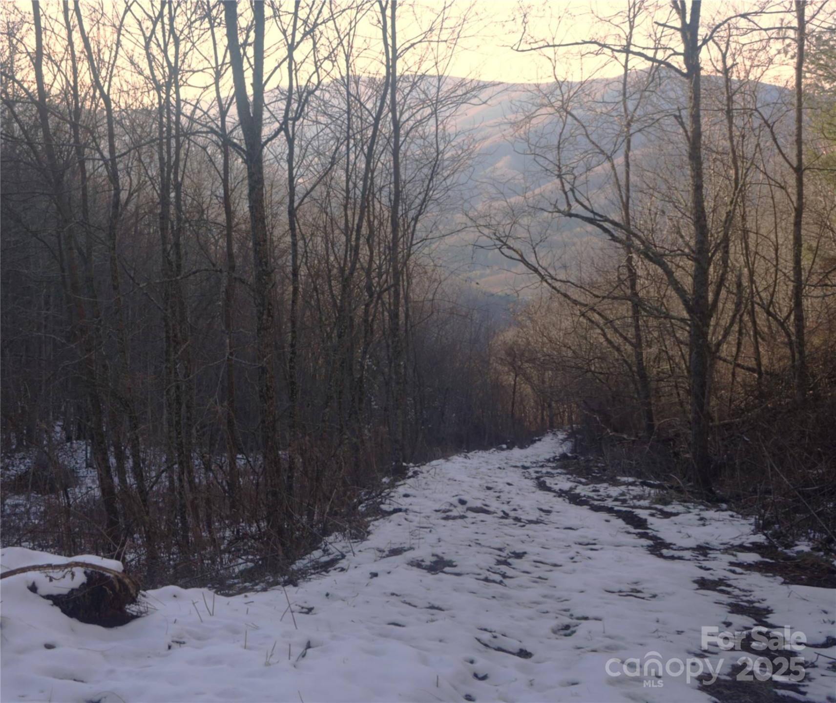 SR-1386 Sang Branch, Hog Branch Road - Photo 13